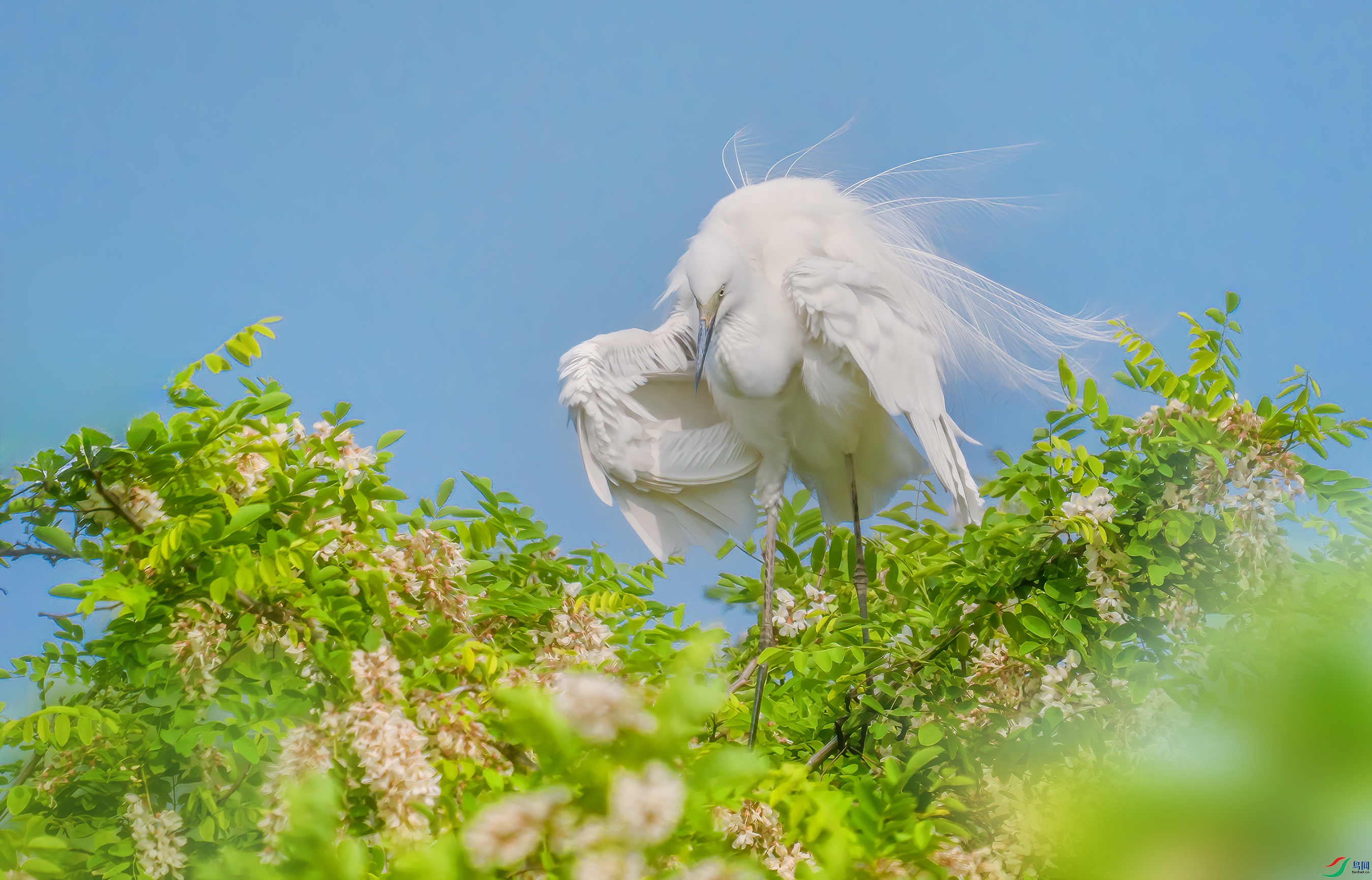 DSC02735 ����.jpg