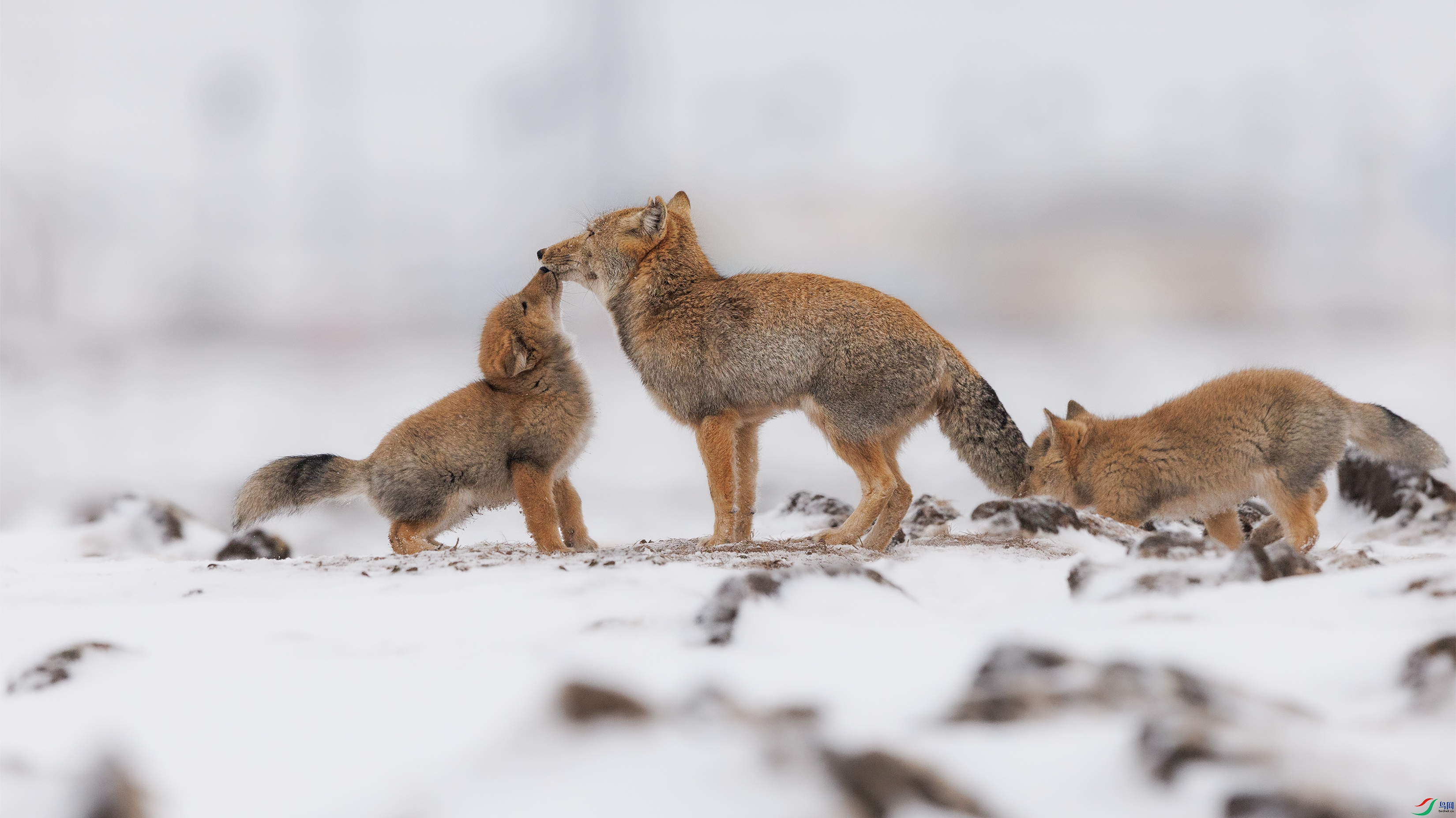 7X5A0597 ��777.jpg