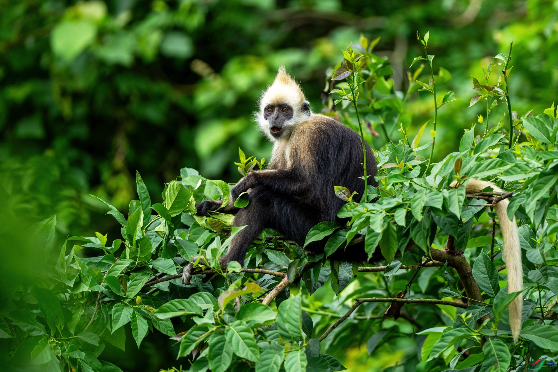 ����һ��