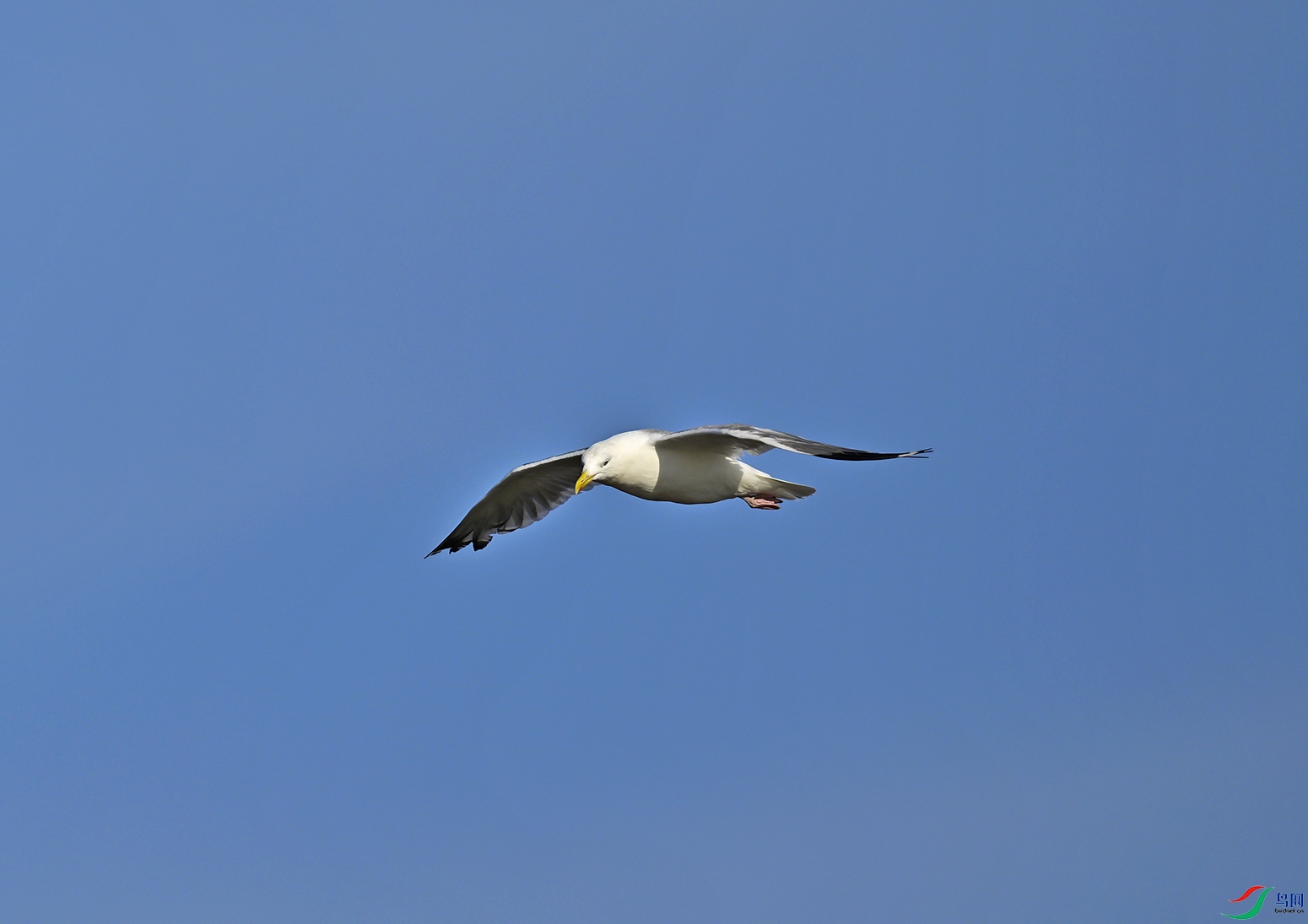 _DSC0305f.jpg