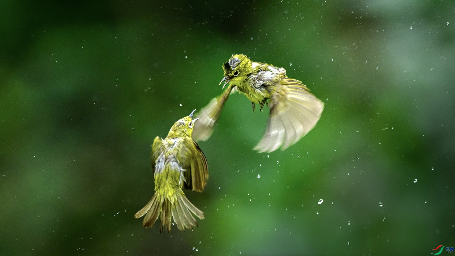 _XXL0223 ����.jpg