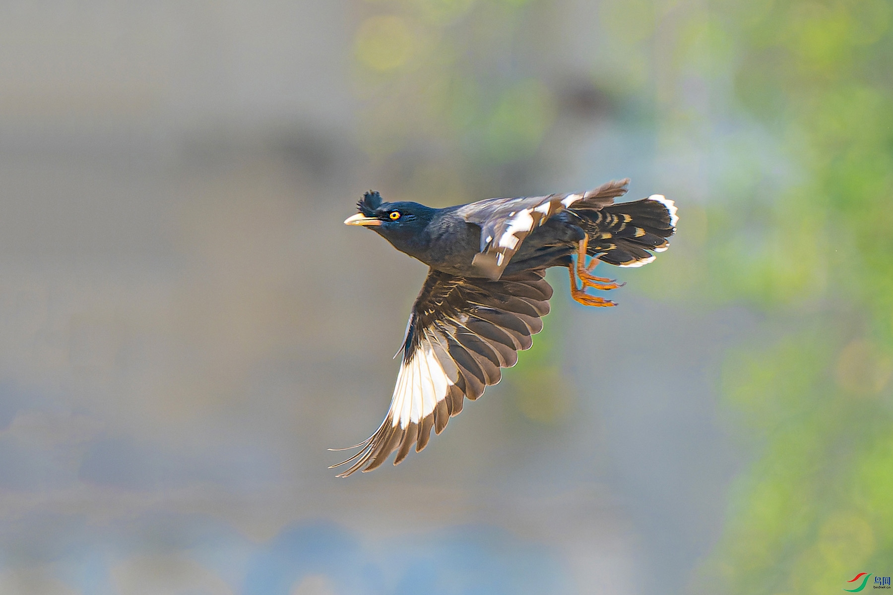 �˸�1 ����.jpg