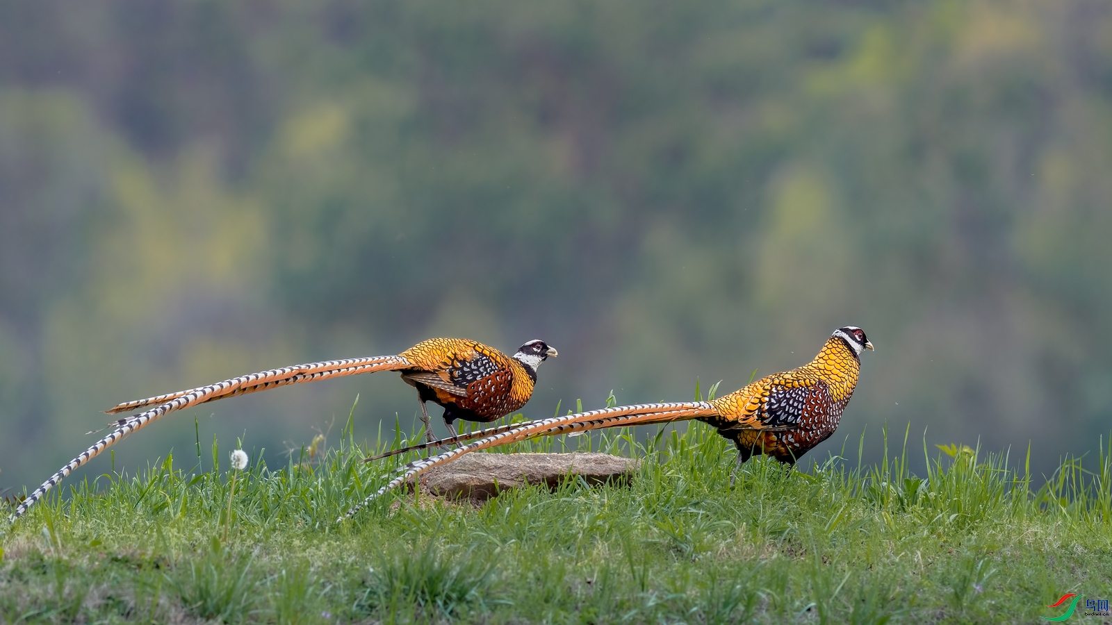 _MG_3997-1.jpg