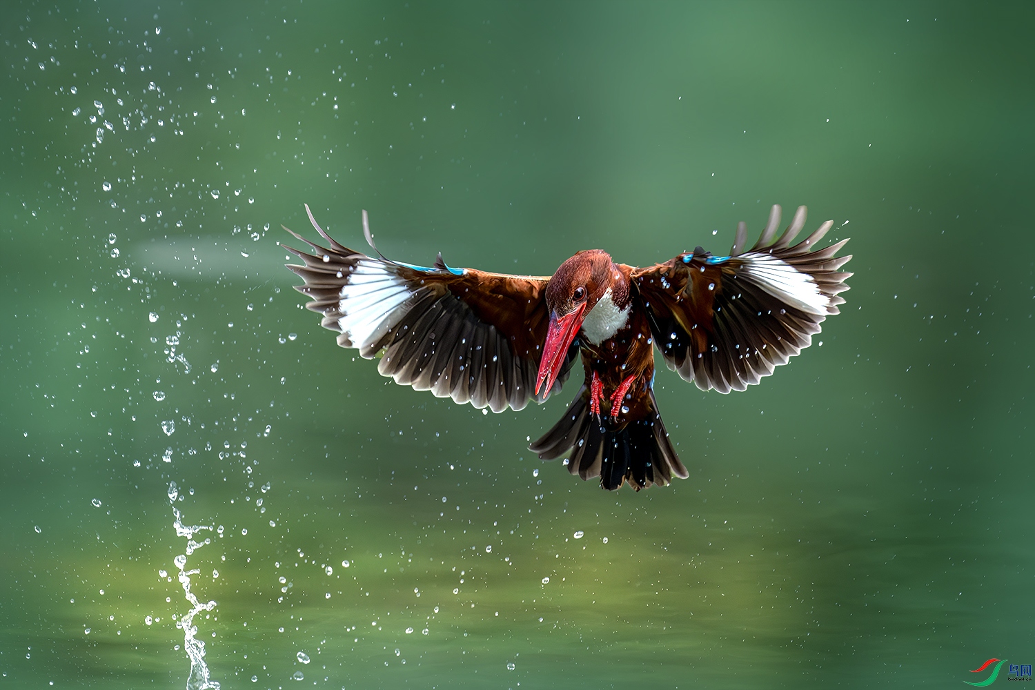 LZW02290-����ǿ-NR ����.jpg