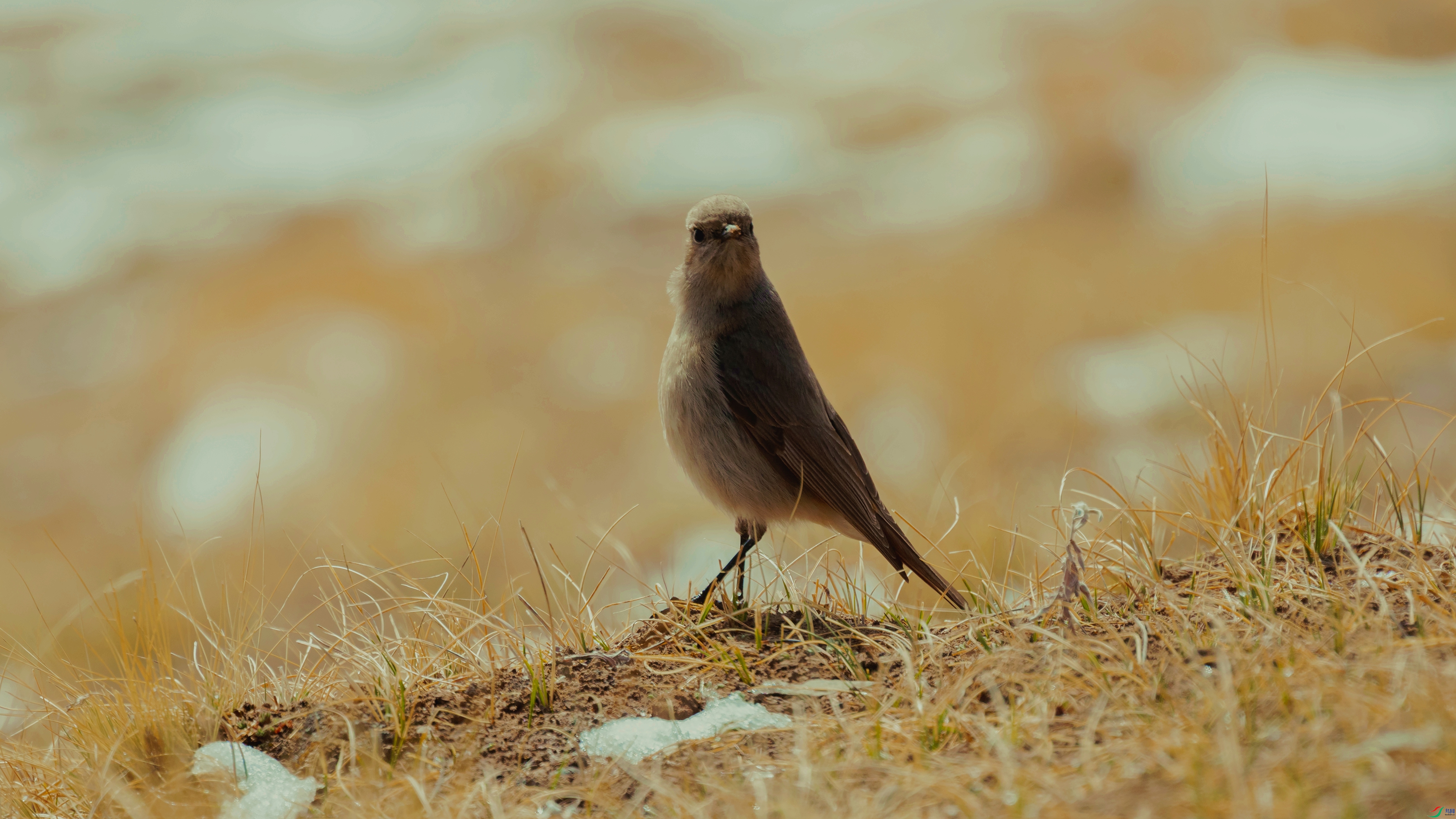 7X5A1732 ���� - ����.jpg