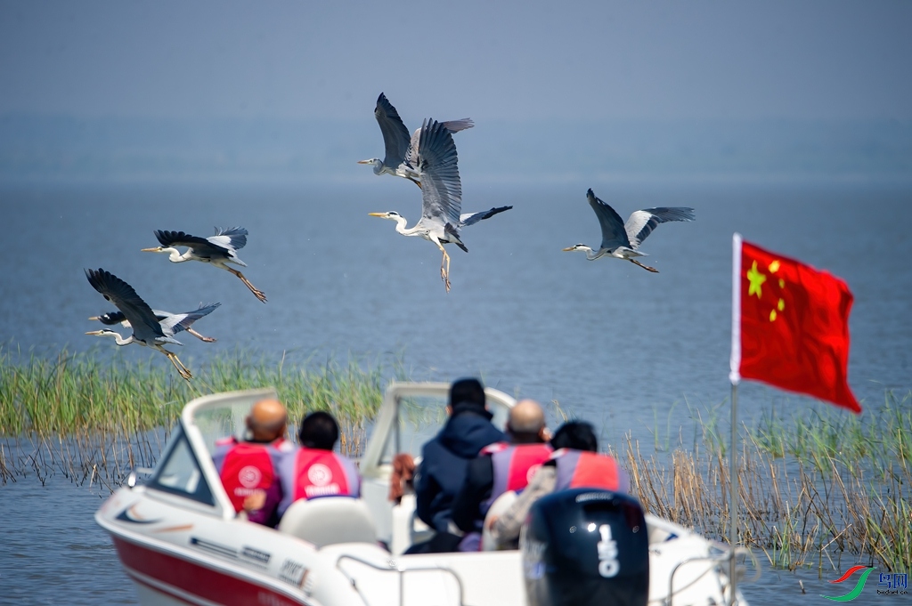 DSC_5105 ����_����.jpg