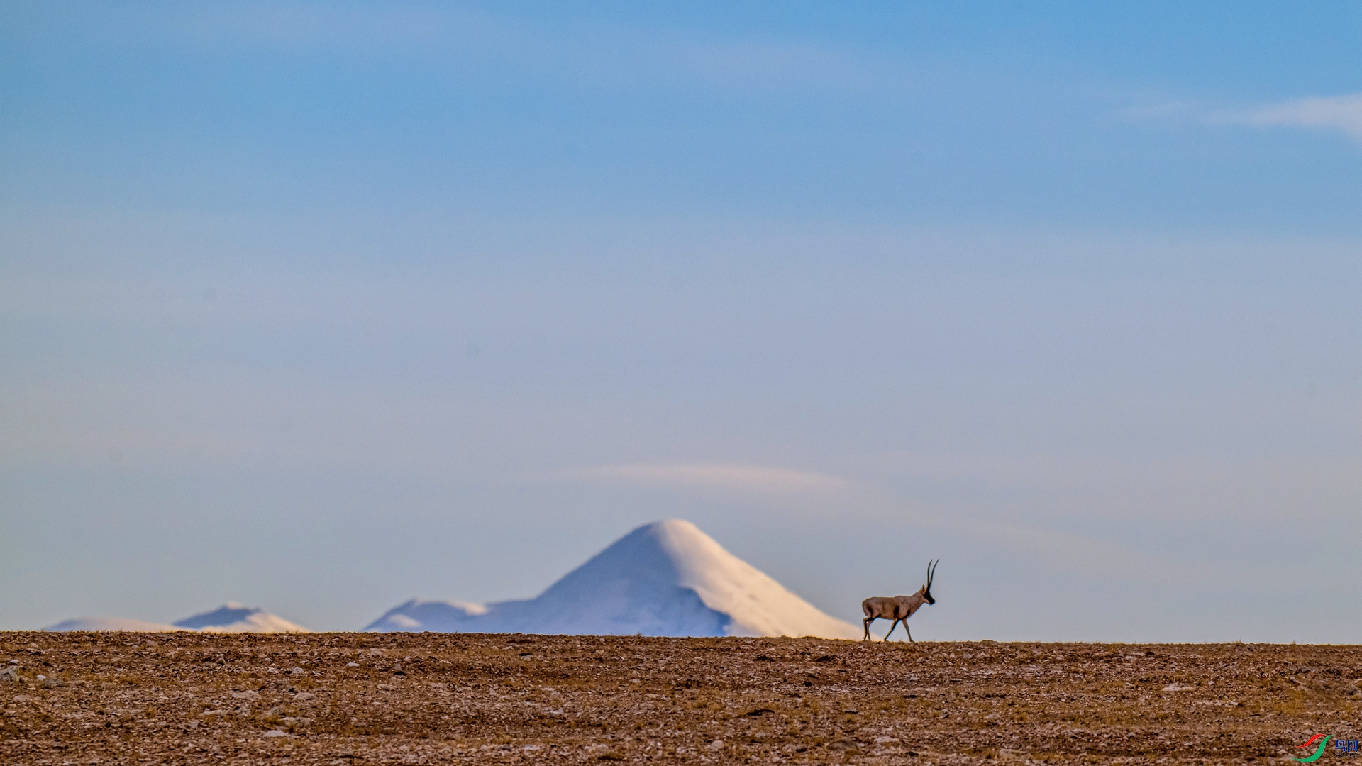 _DSC8835 ����_����.jpg