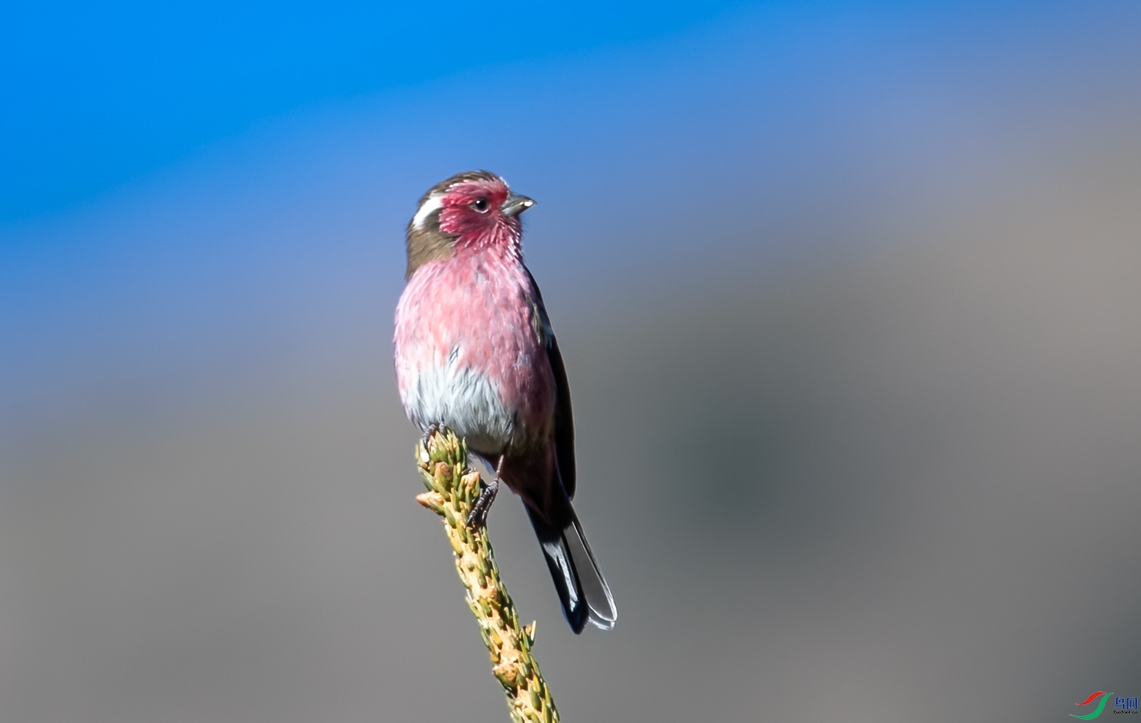 DSC_0401.jpg