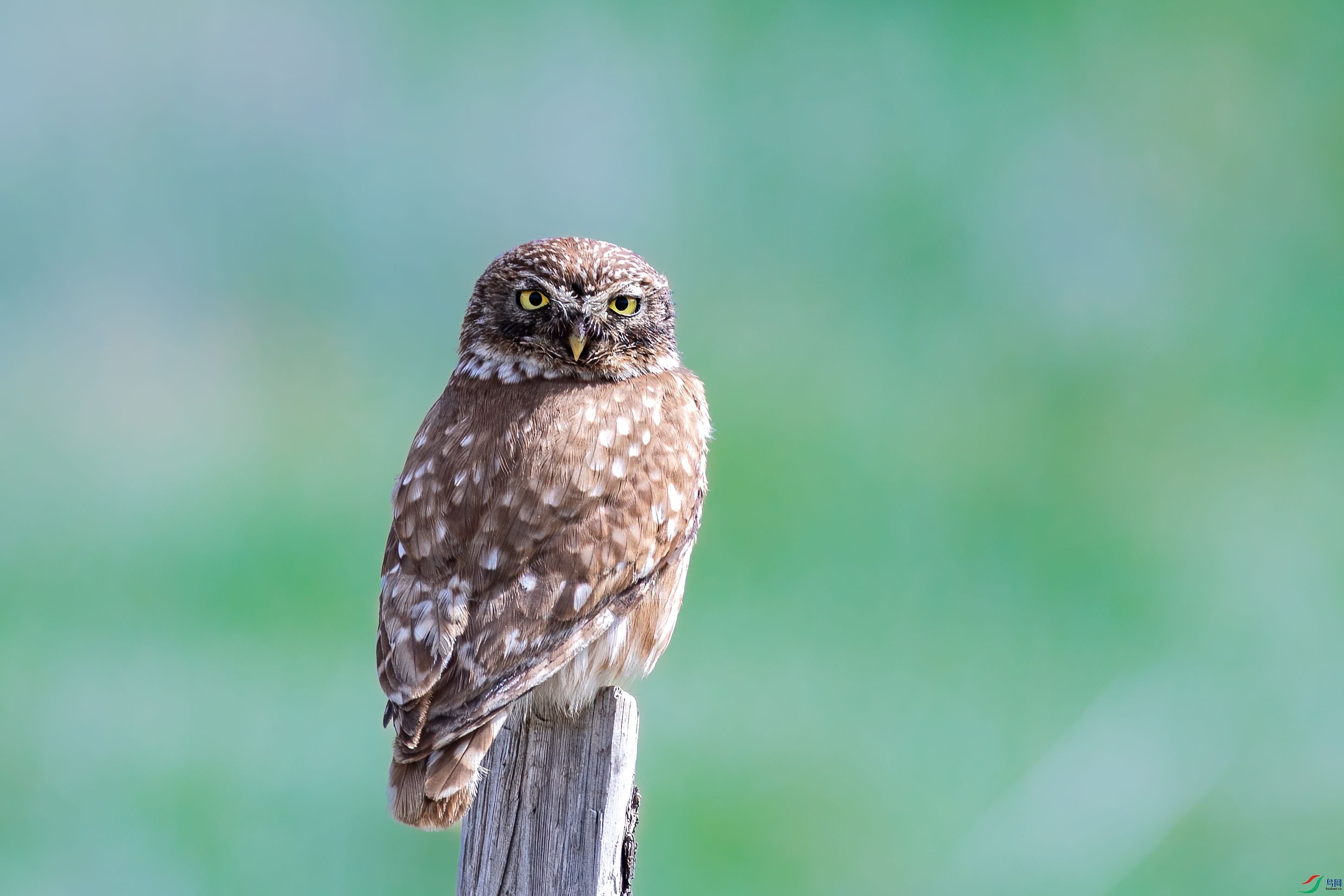 _S5A6802 ����.jpg