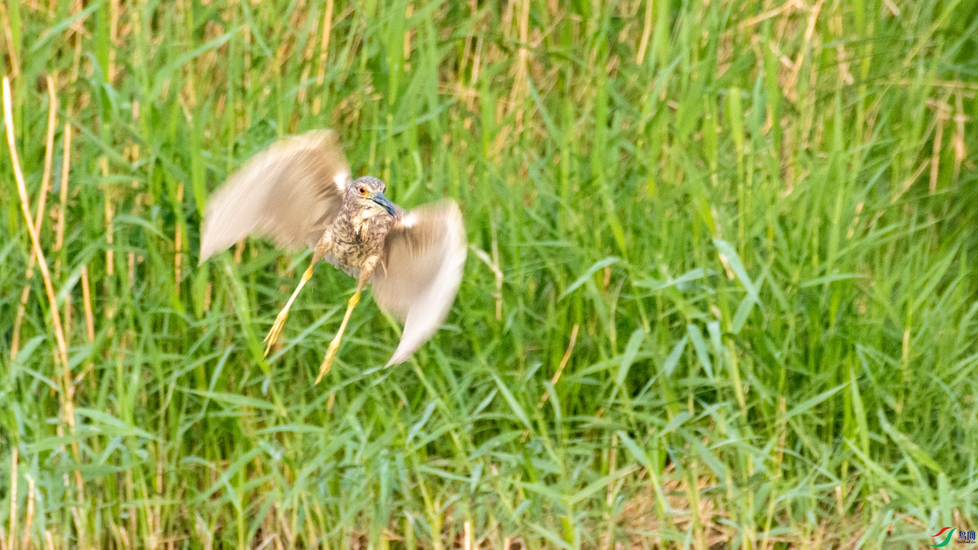 _DSC8836.jpg