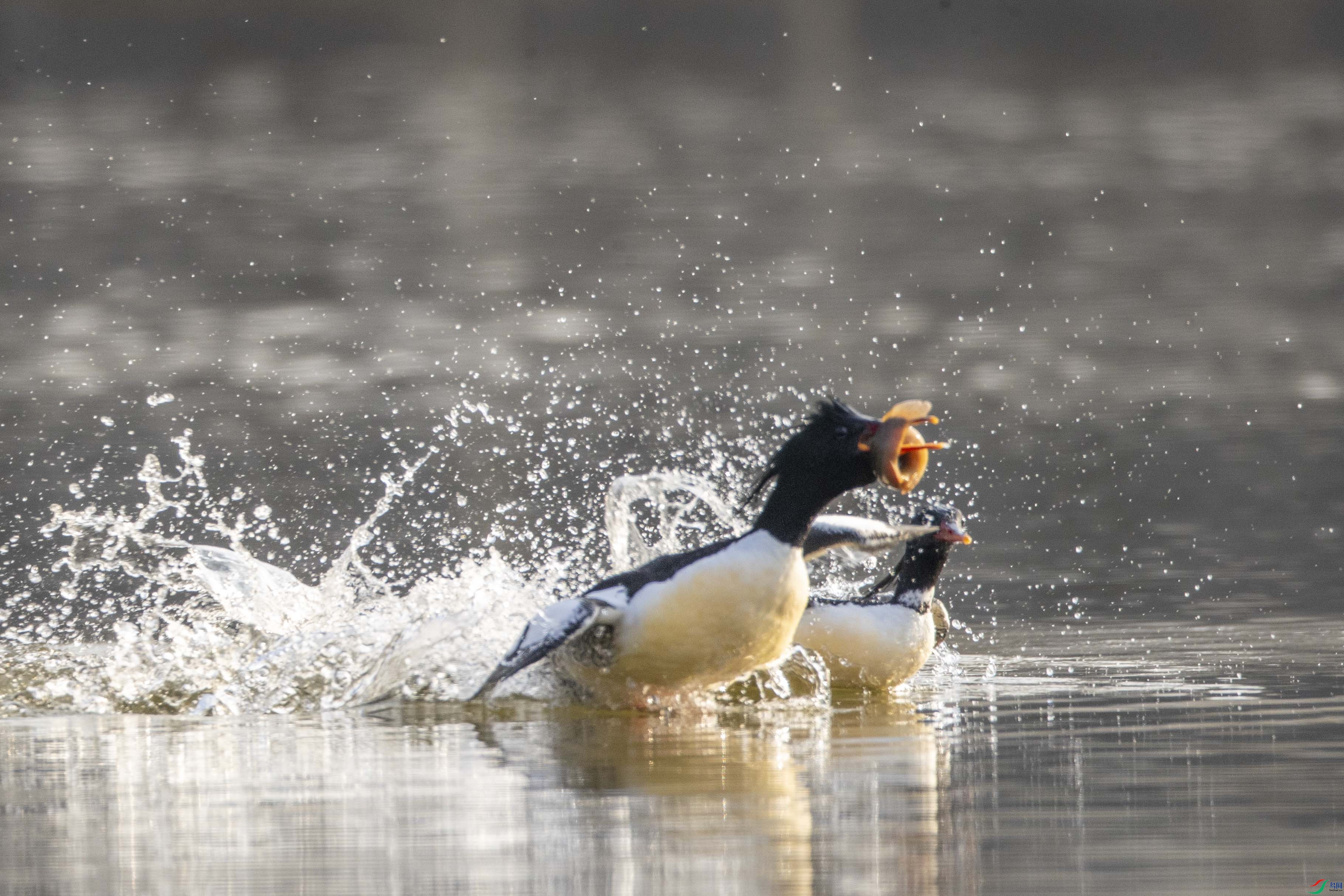 AB8I8002 ����.jpg