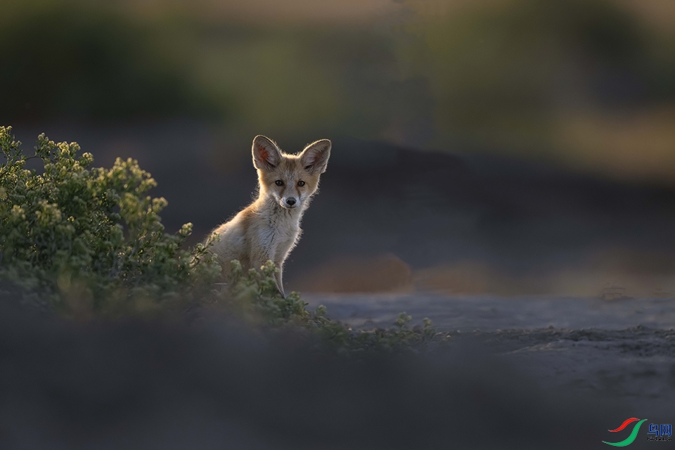 _DSC5936 ���� 2.jpg