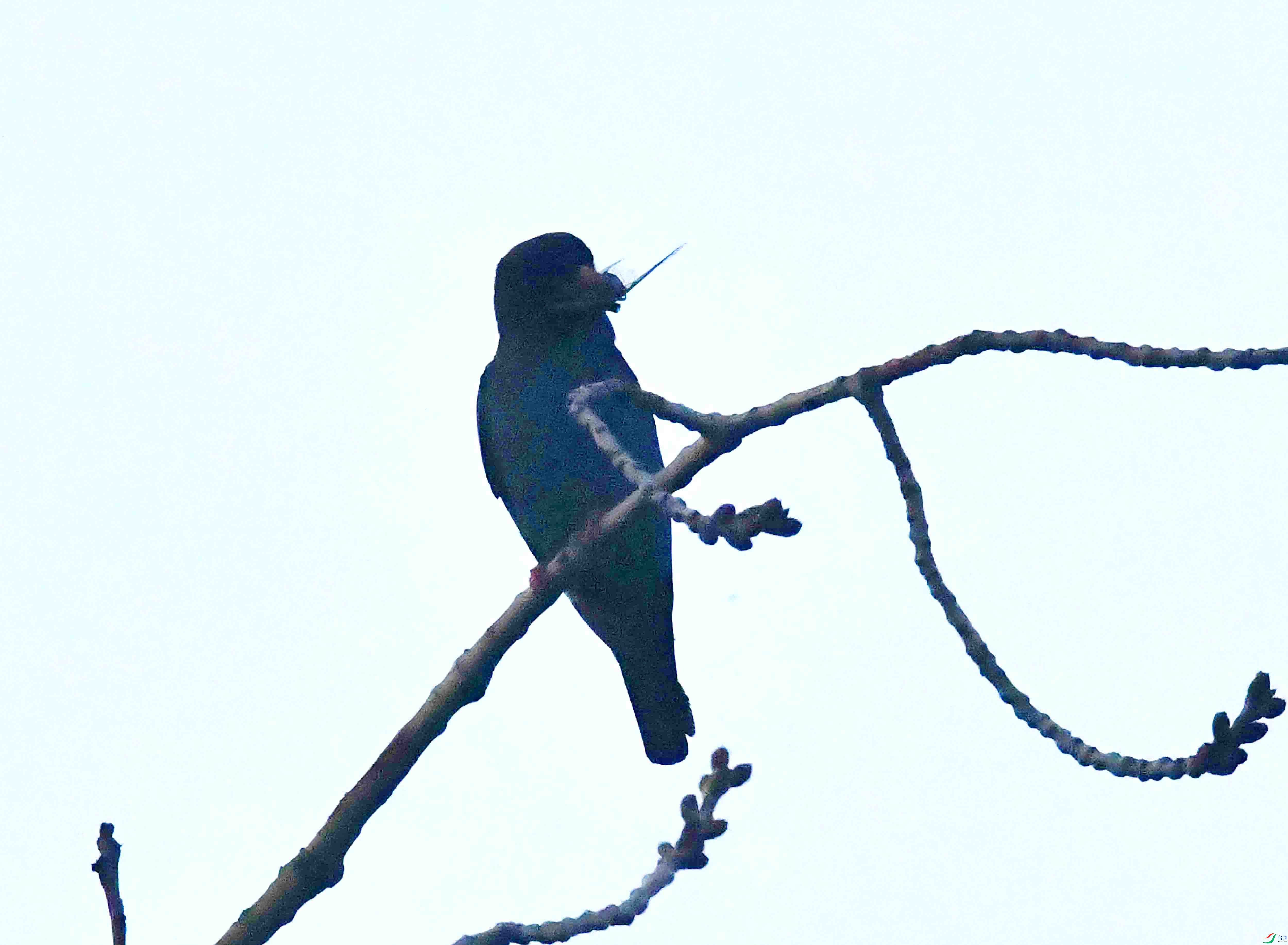DSC_3139.JPG