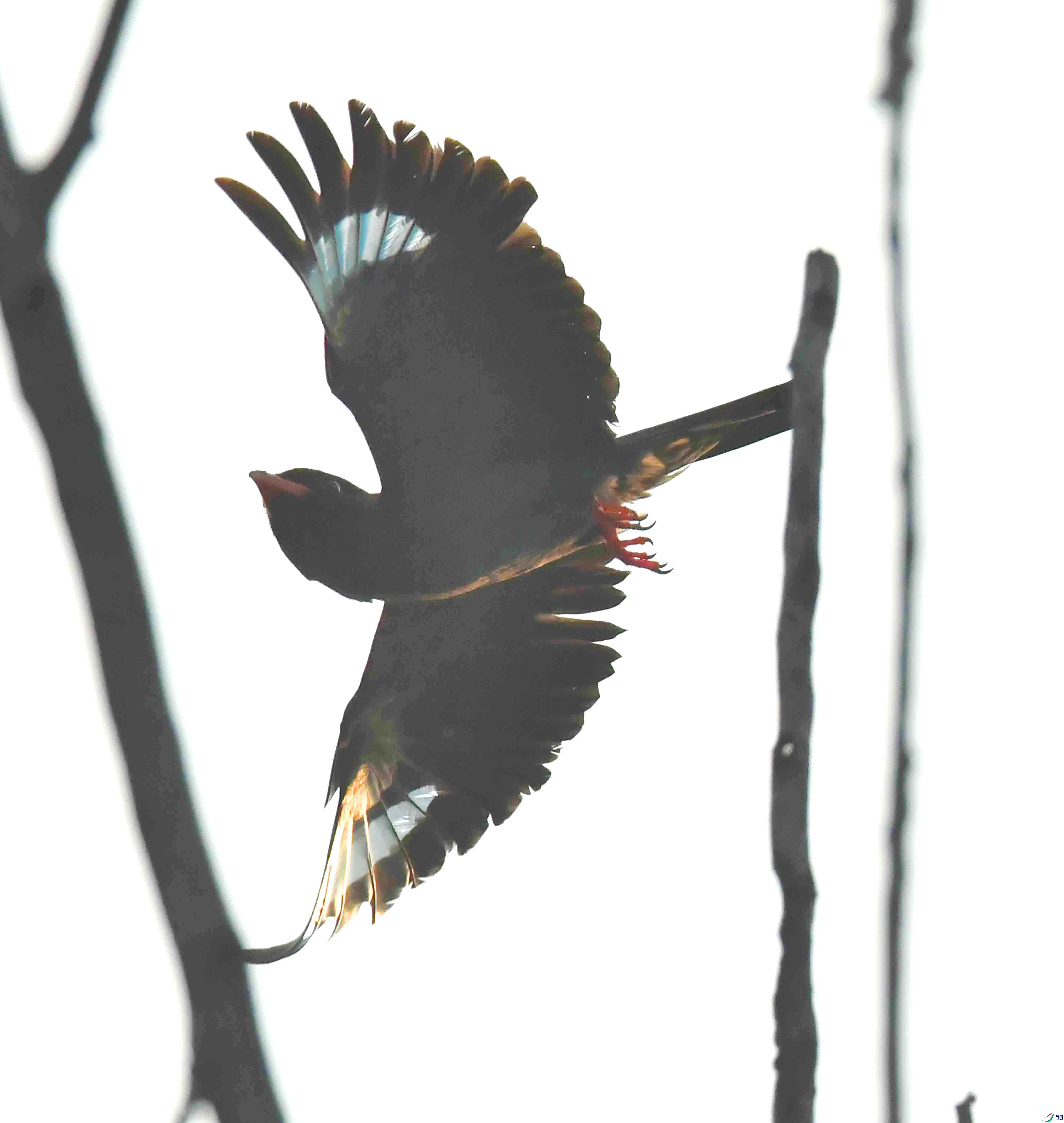 DSC_3222.JPG