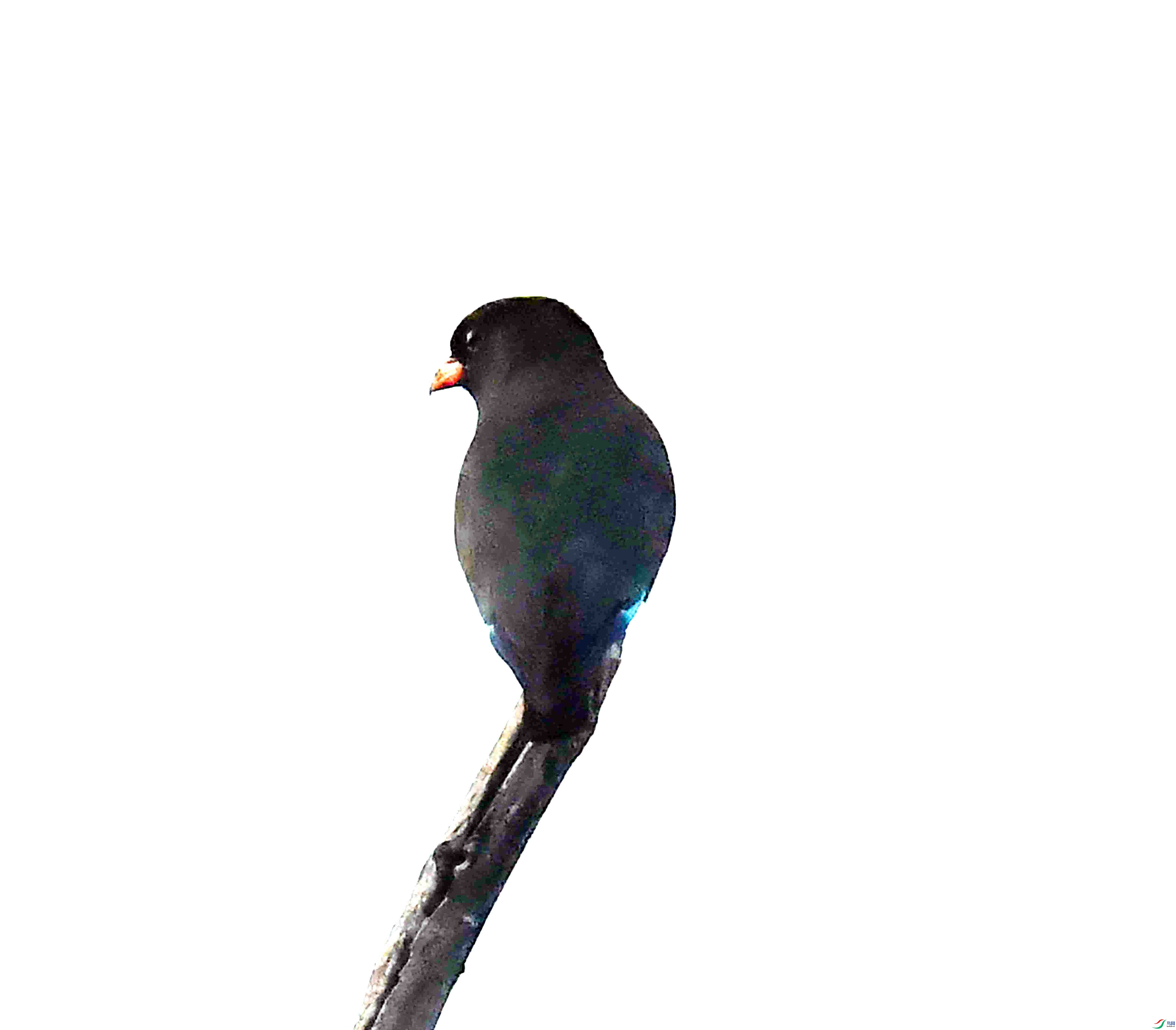 DSC_3160.JPG