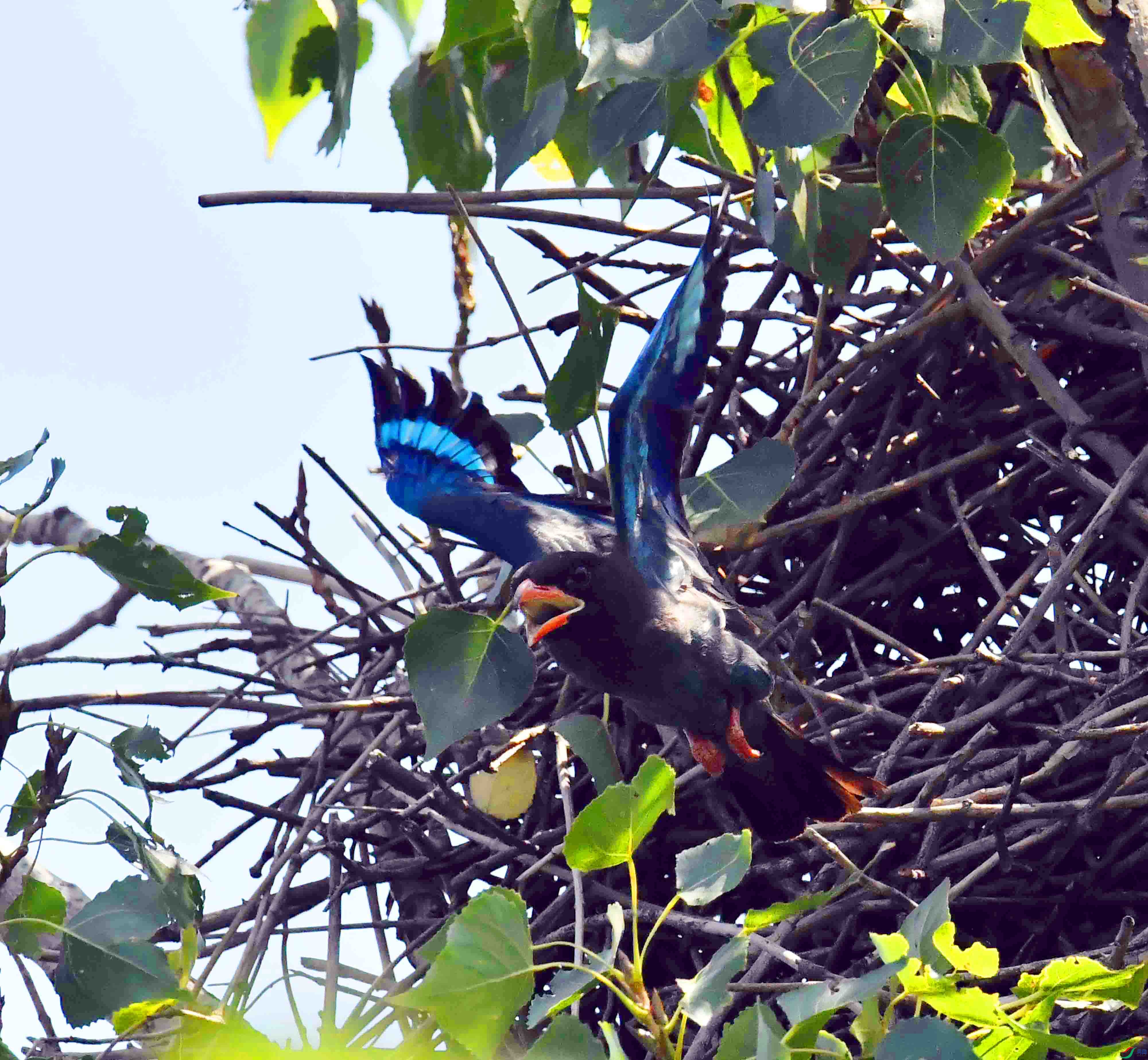 DSC_3845.JPG