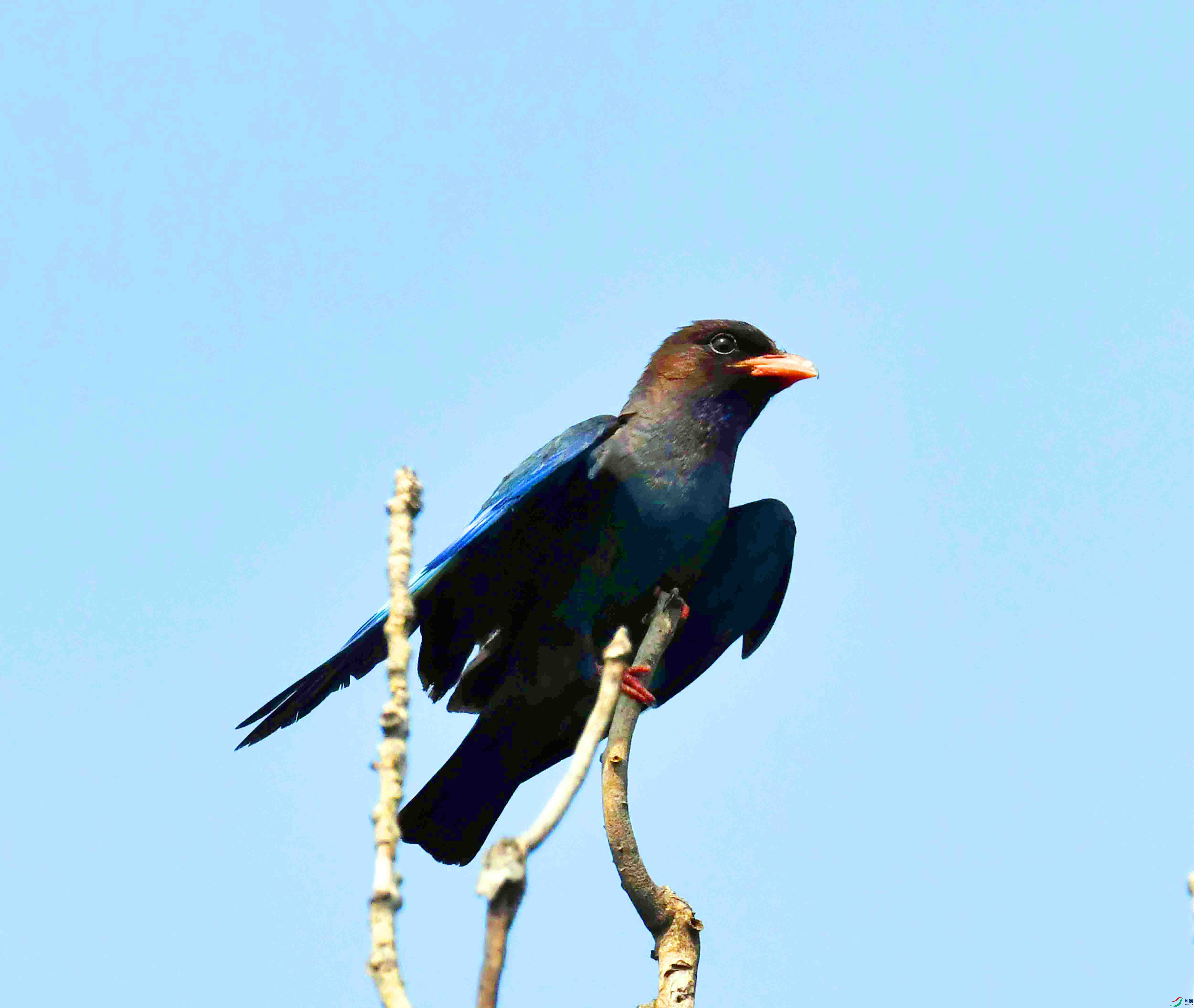 DSC_4075.JPG