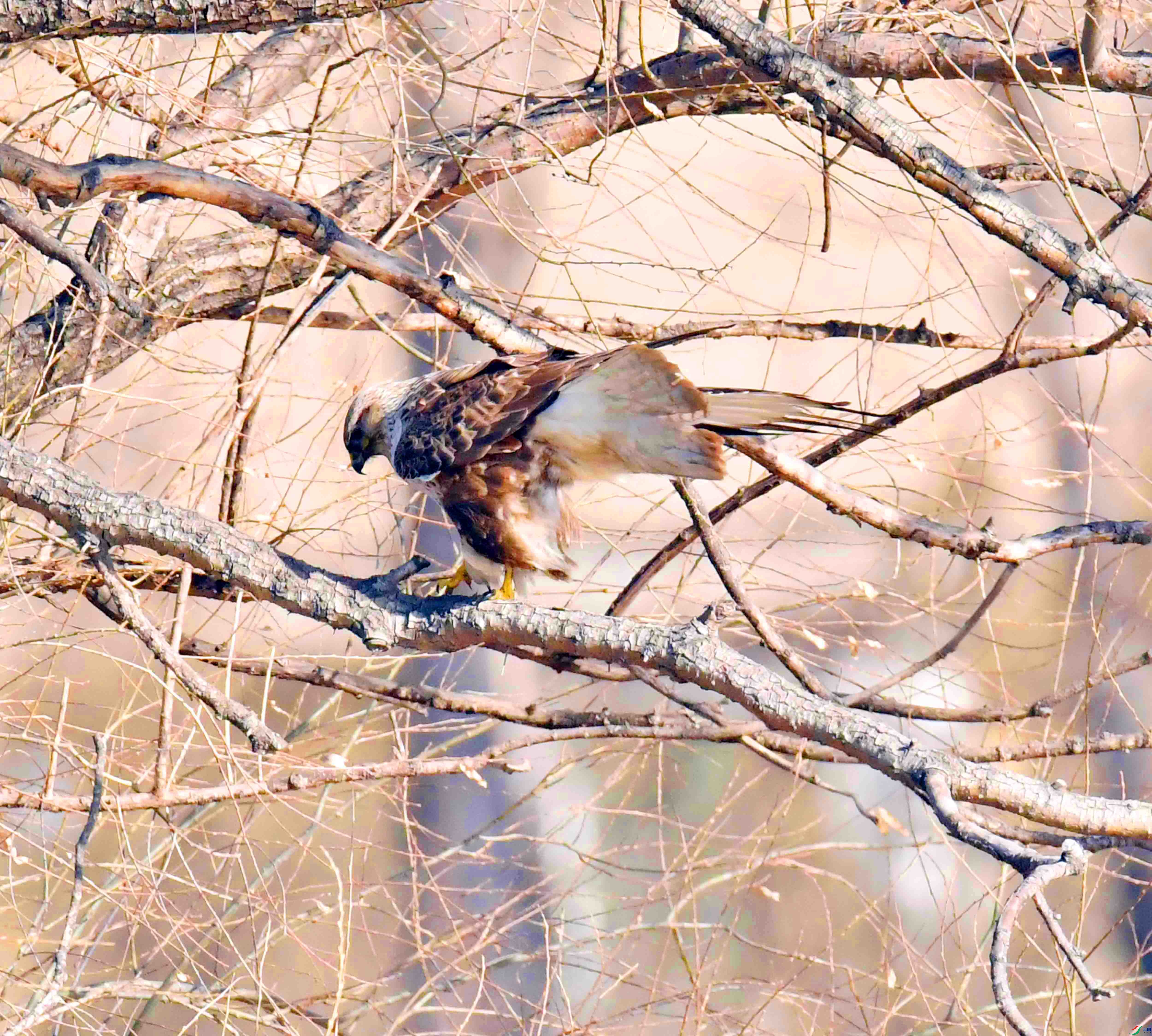 DSC_0645.JPG