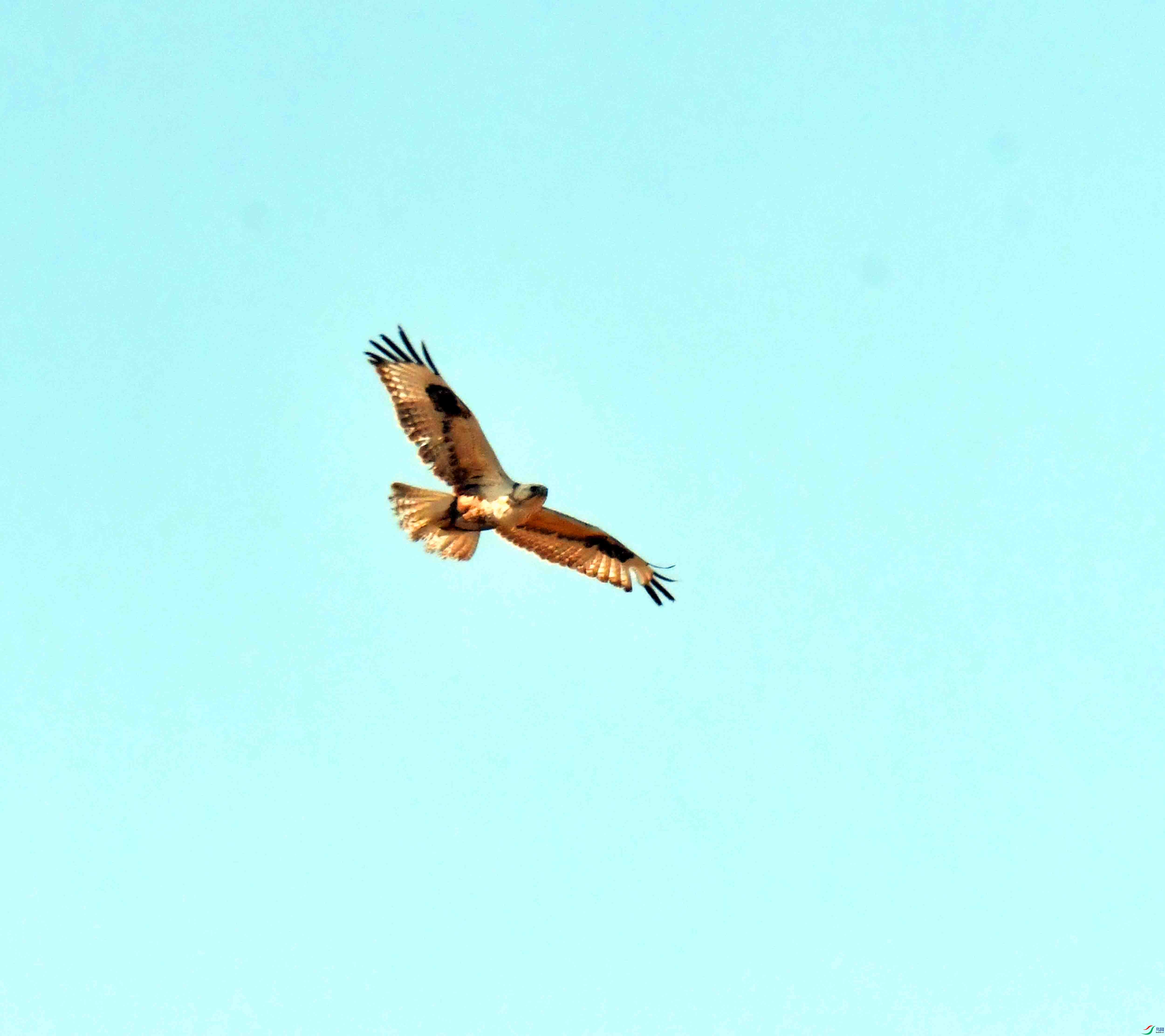 DSC_1861.JPG