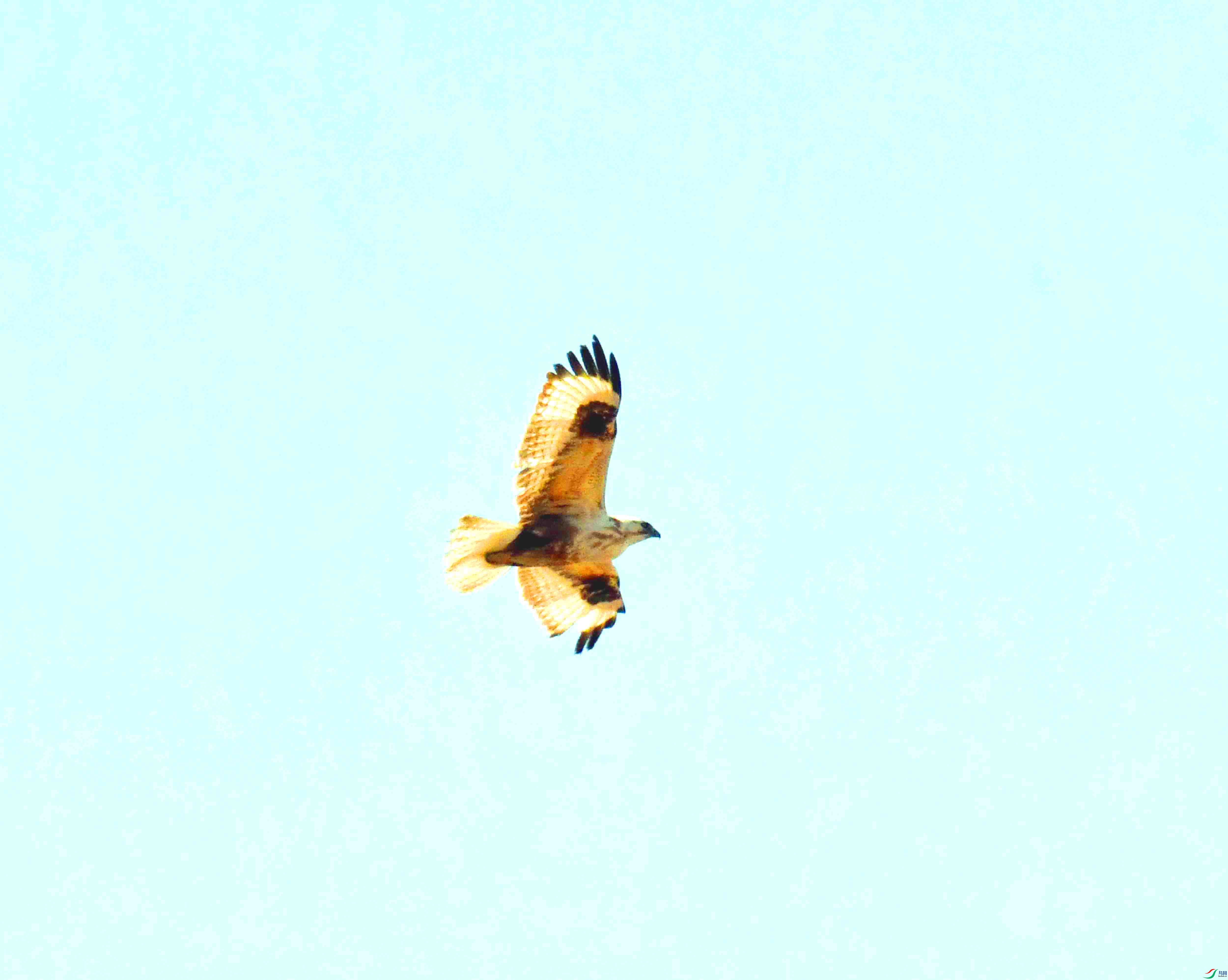 DSC_1864.JPG