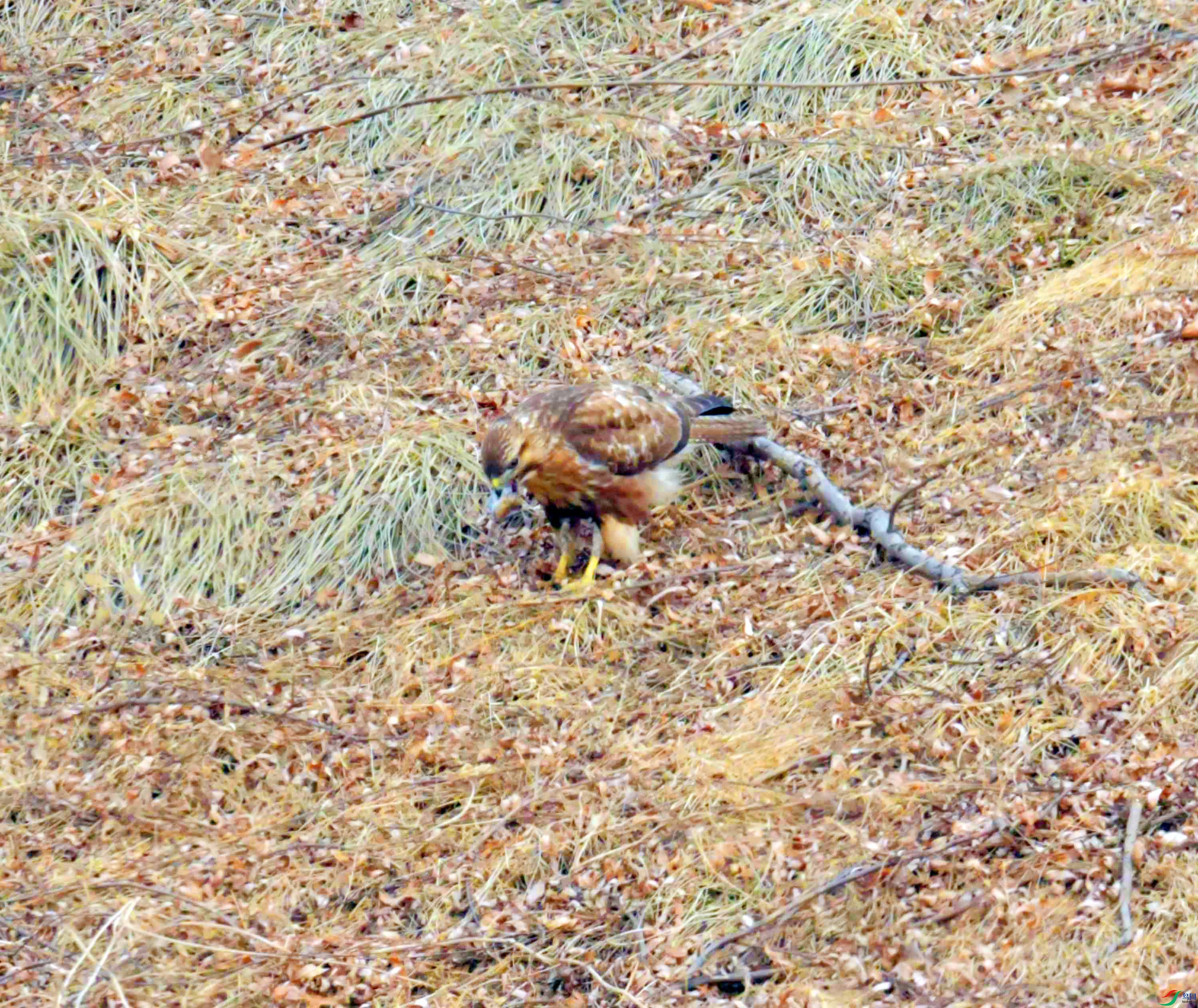 DSC_2656.JPG