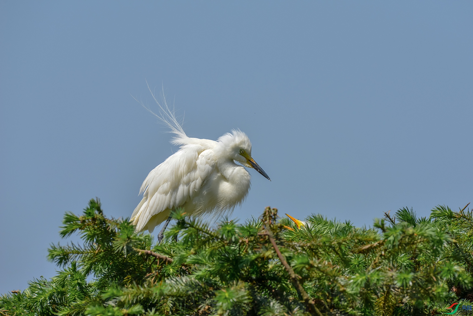 DSC_0139_DxOa.jpg