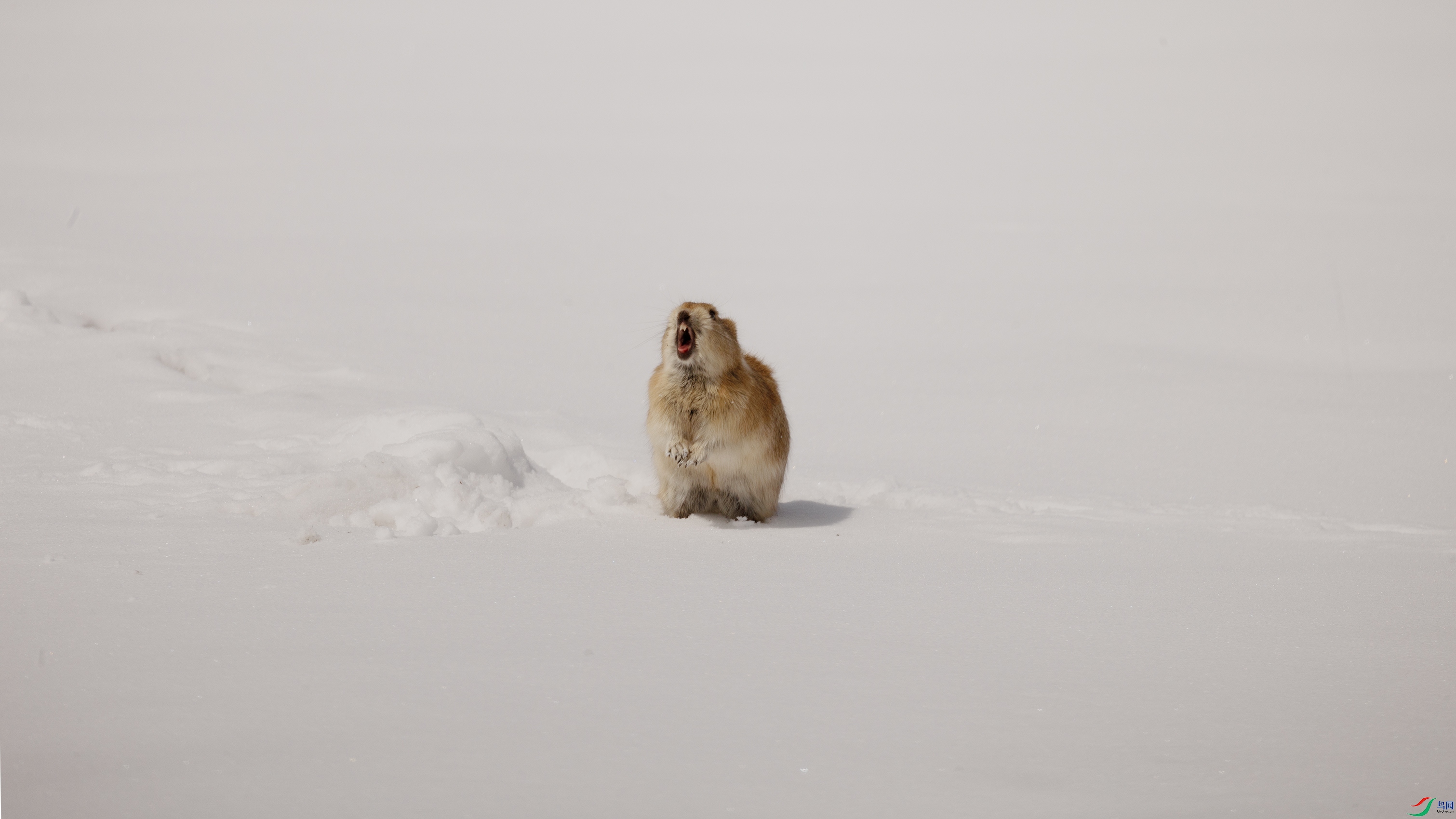 7X5A9944 ��444.jpg