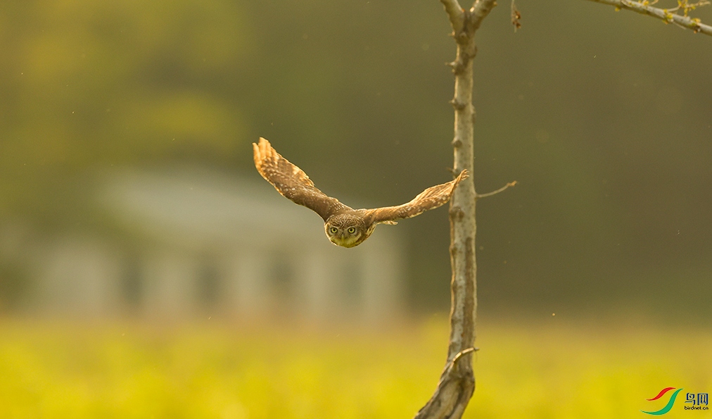 724A7307 ����_����.jpg