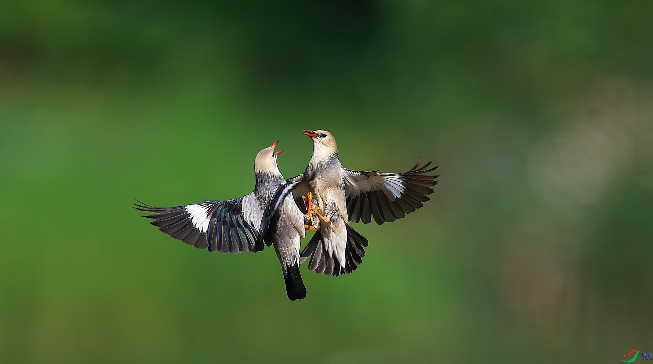 B43I1311-SharpenAI-Motion.jpg