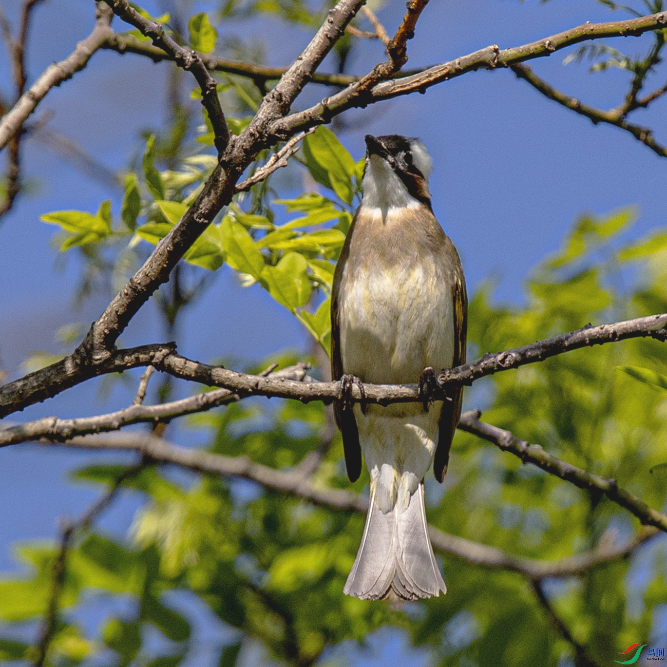 _90I6715 ����.jpg