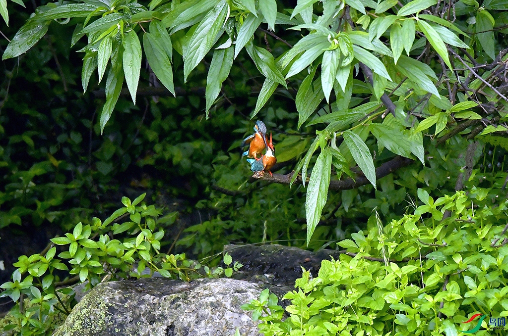 _DSC7648.jpg