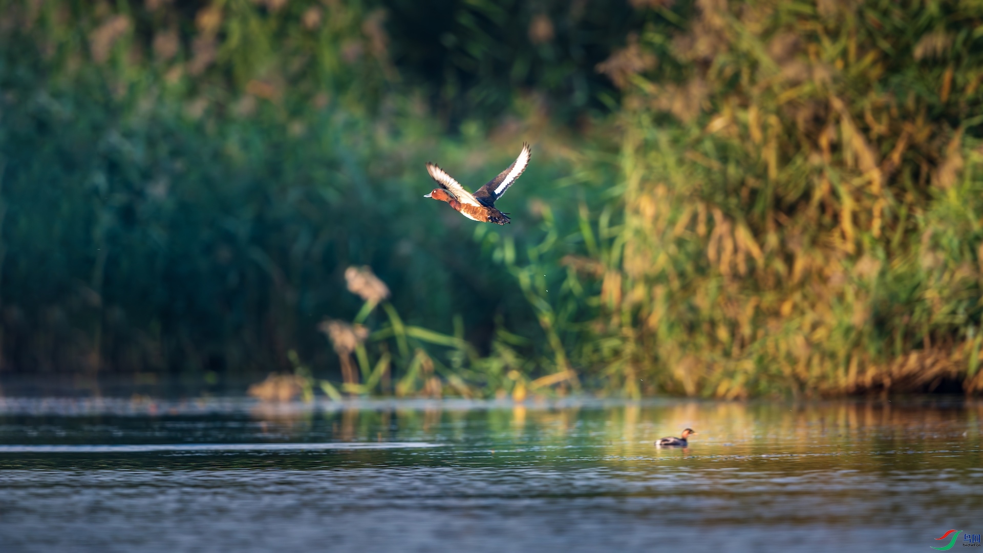 1_XXI2270-����ǿ-NR ���� 2.jpeg