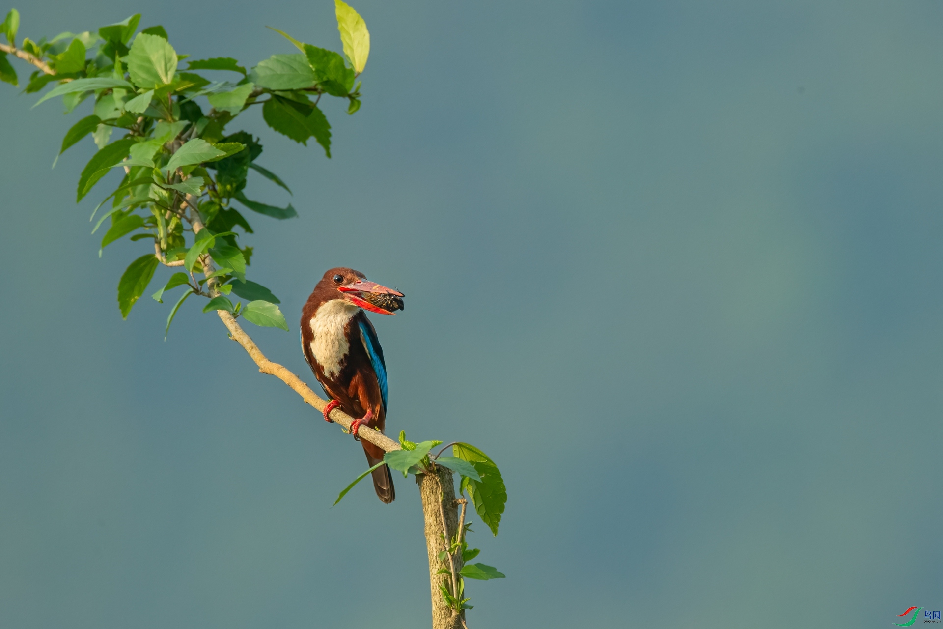 B86I5546 _����.jpg