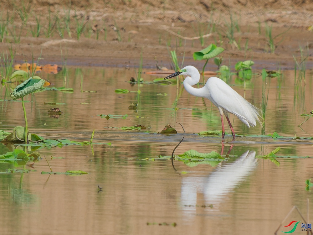 P5221507_DxO - ����.jpg