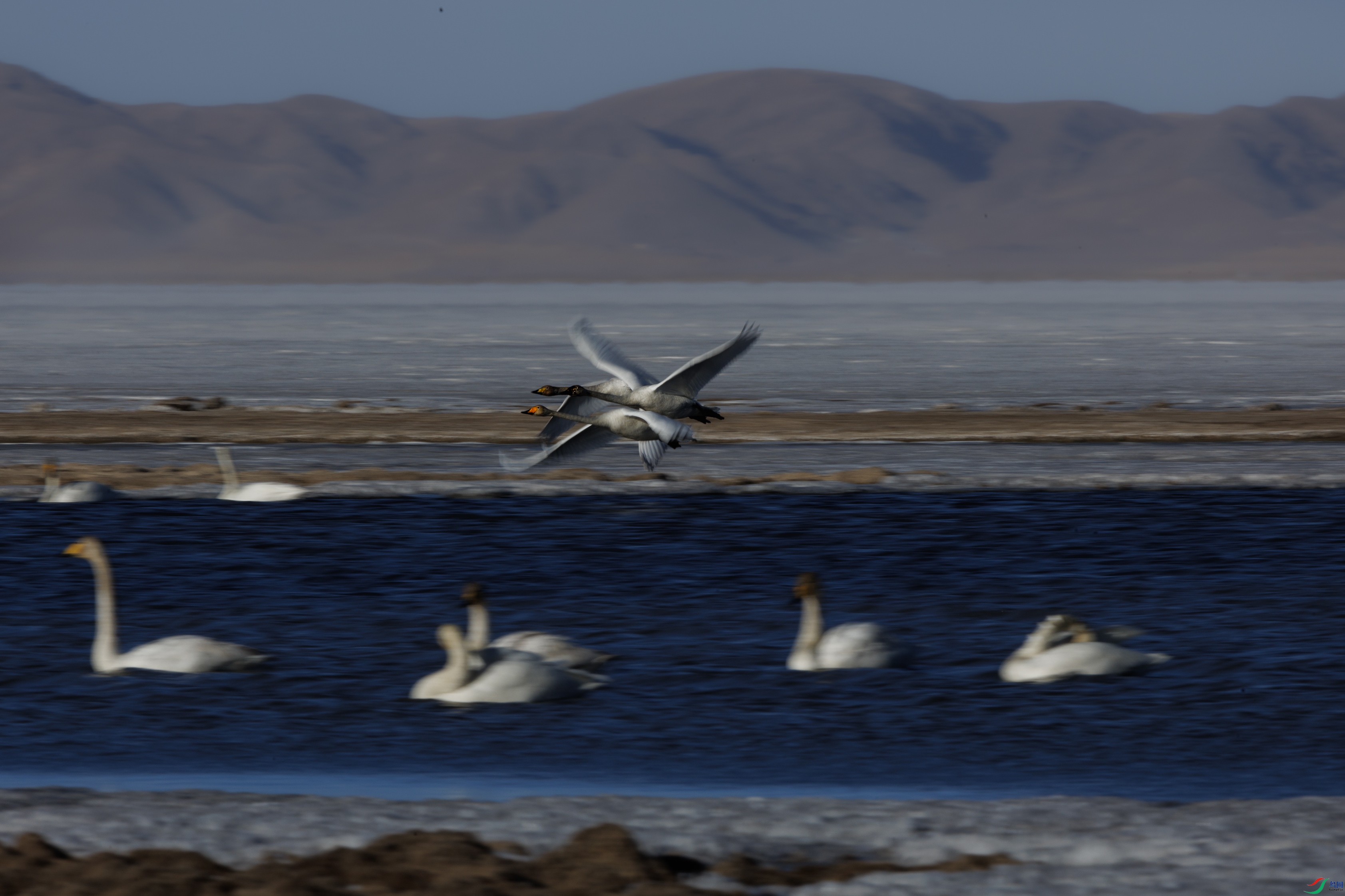 7X5A0904 ����444.jpg