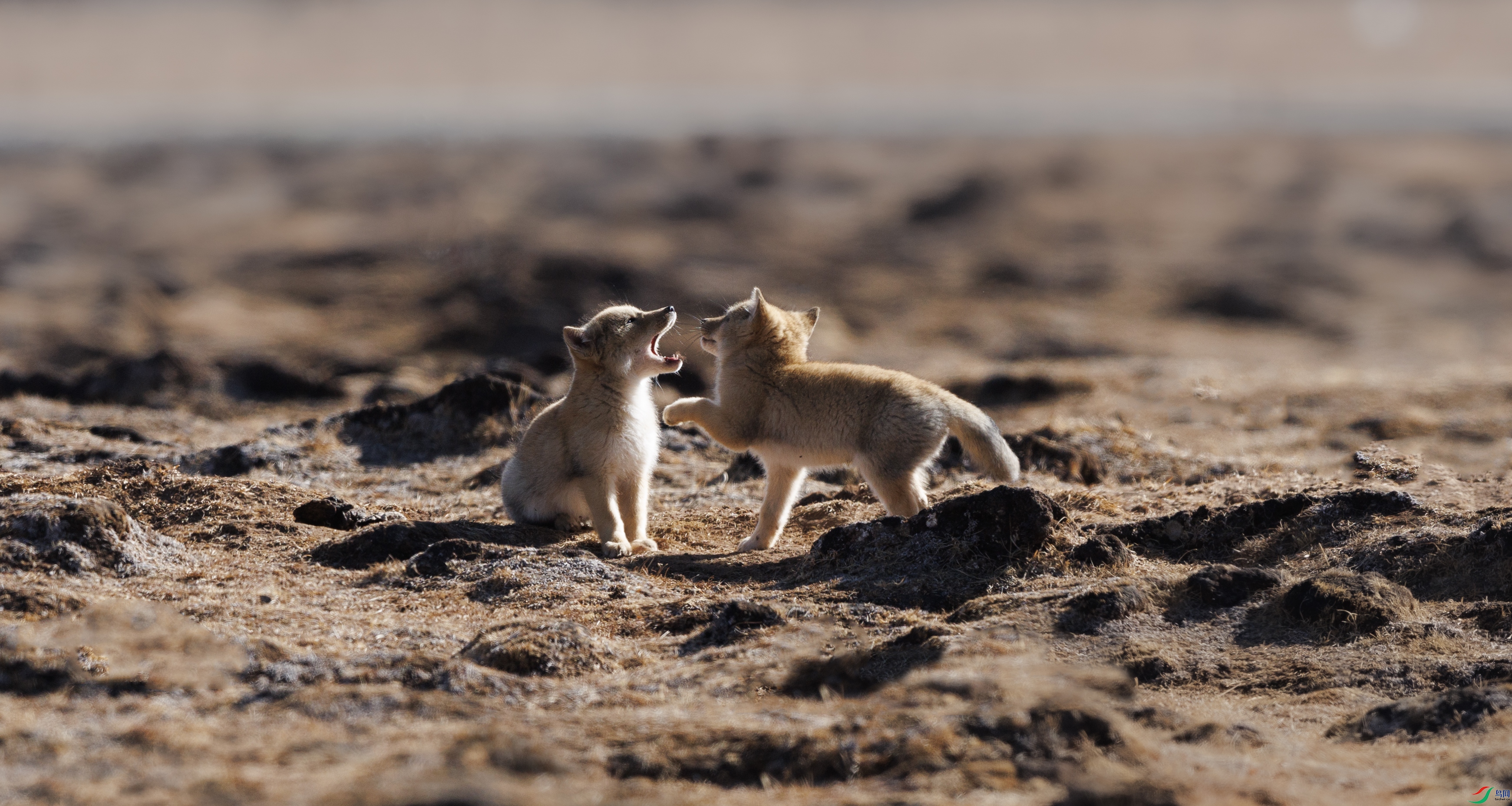 7X5A9855 ����.jpg