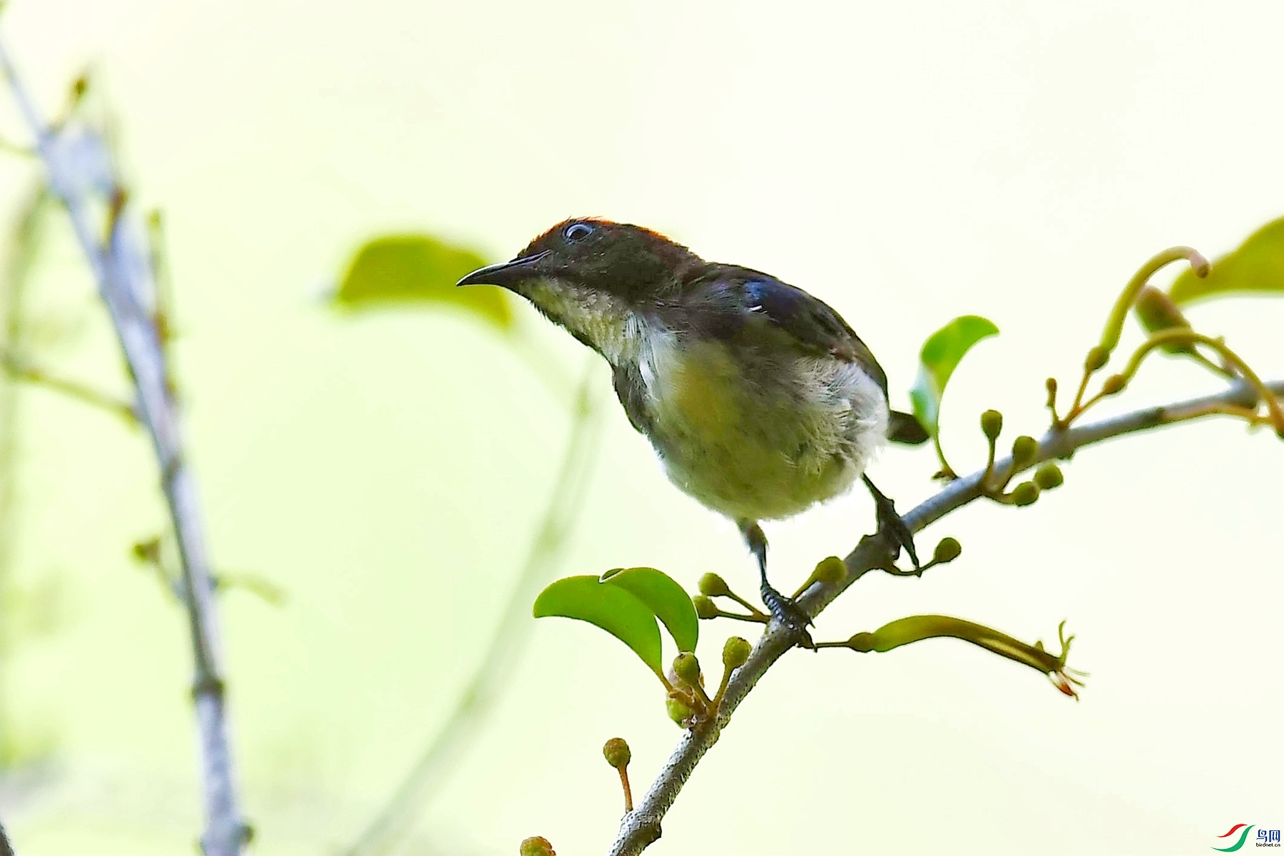 DSC_5895_����.jpg