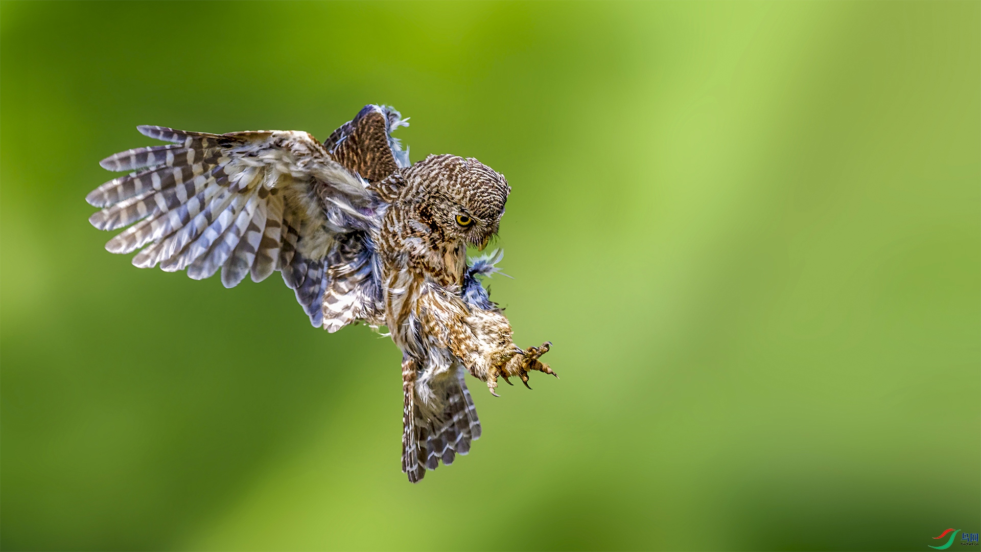 _WGB0070-NEF_DxO_PRIME.jpg