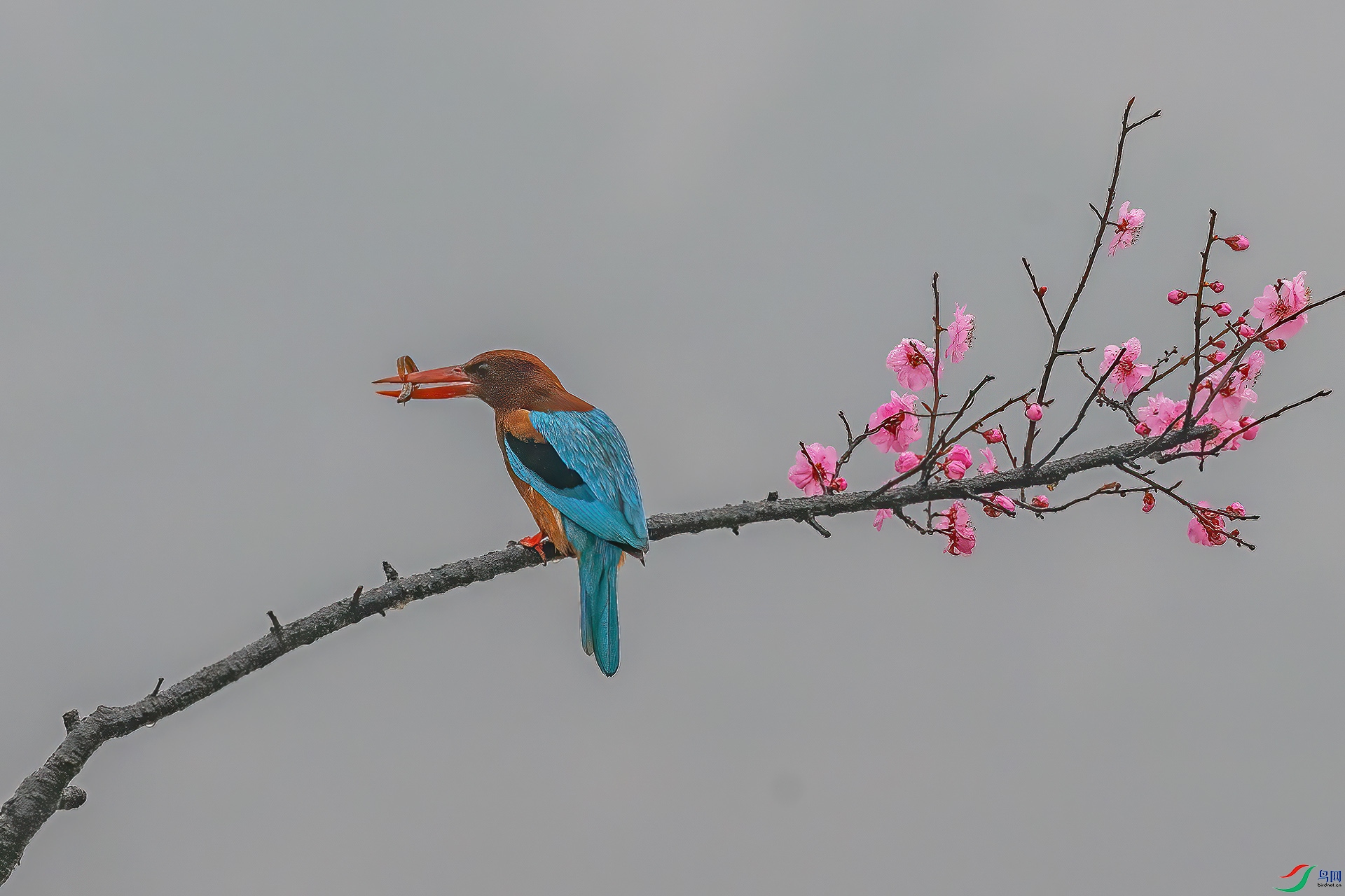 DSC_0350.jpg