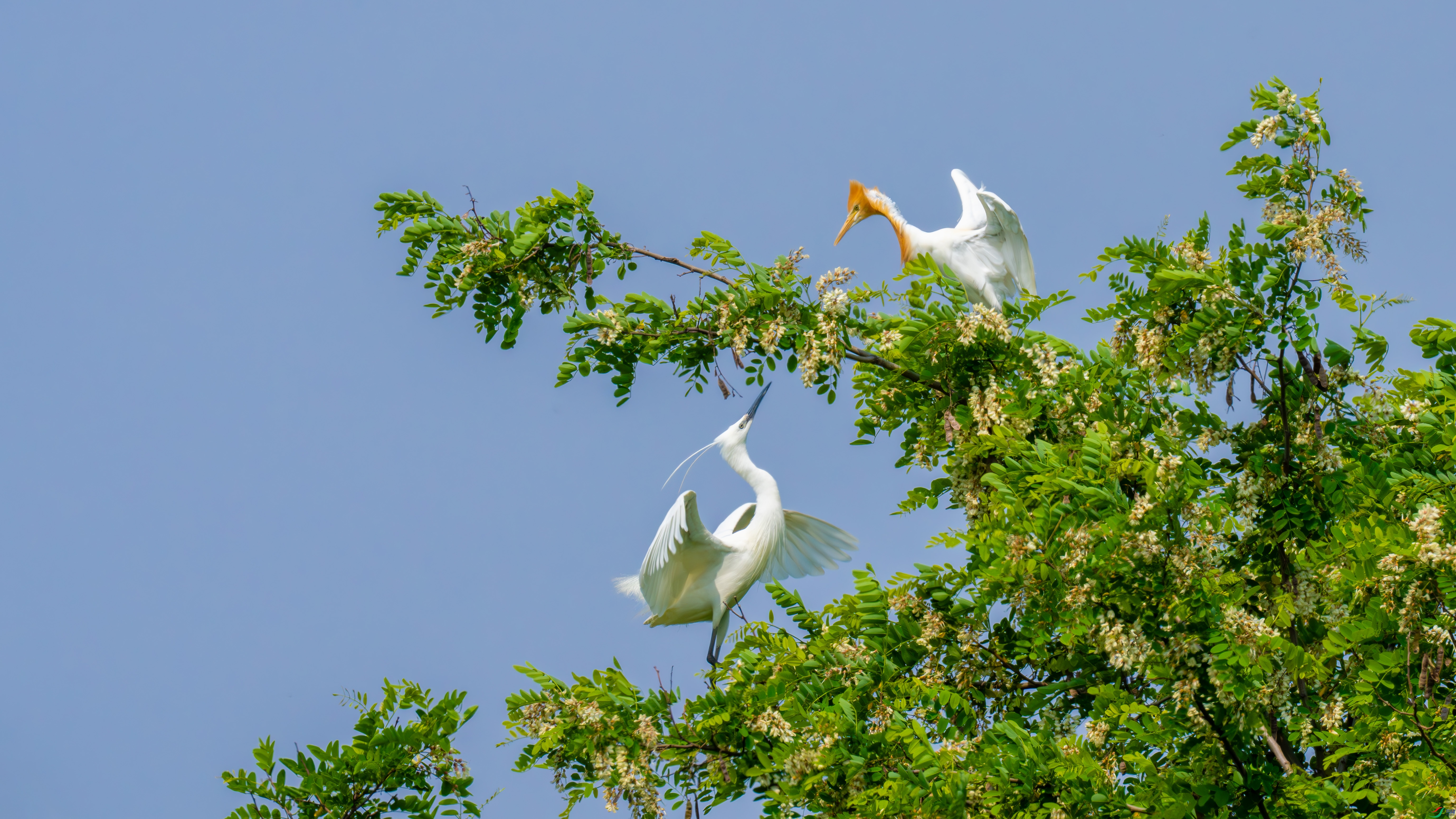 DSC02502-AA.jpg