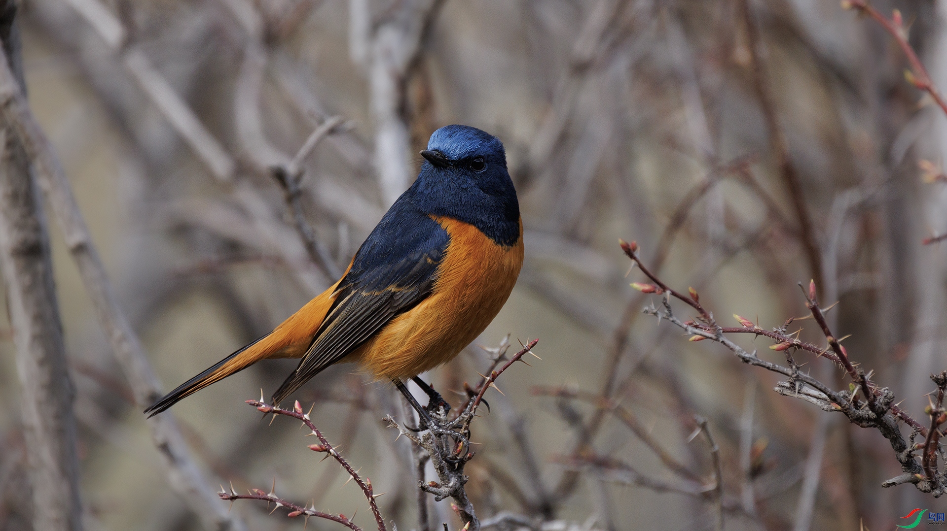 7X5A9492 ����222.jpg