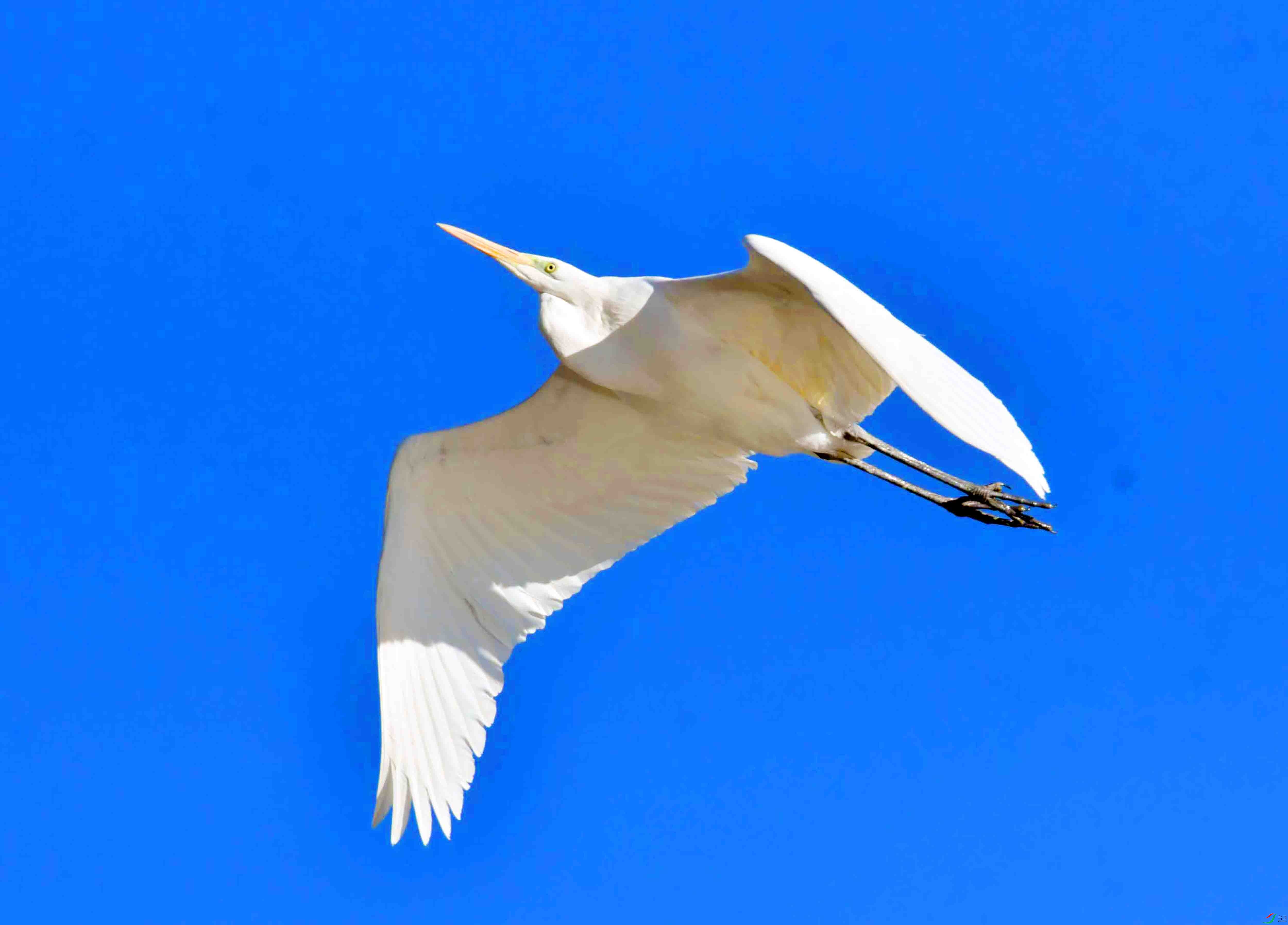 DSC_0730.JPG