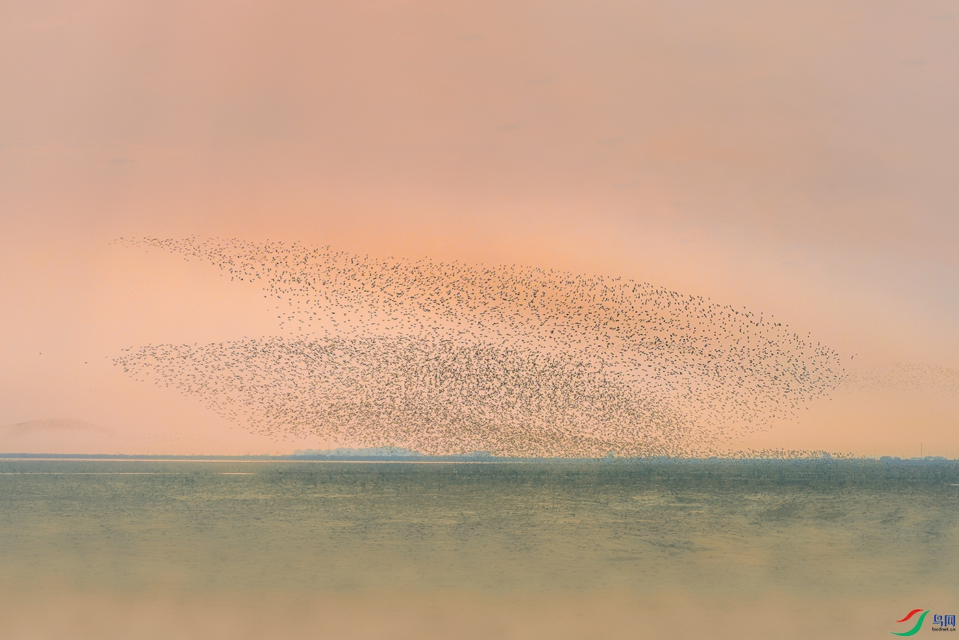 ��β��������----����ǳ̲˫����