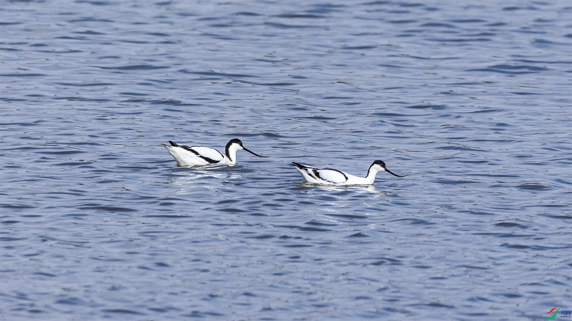 1K3A8360 ����1.jpg