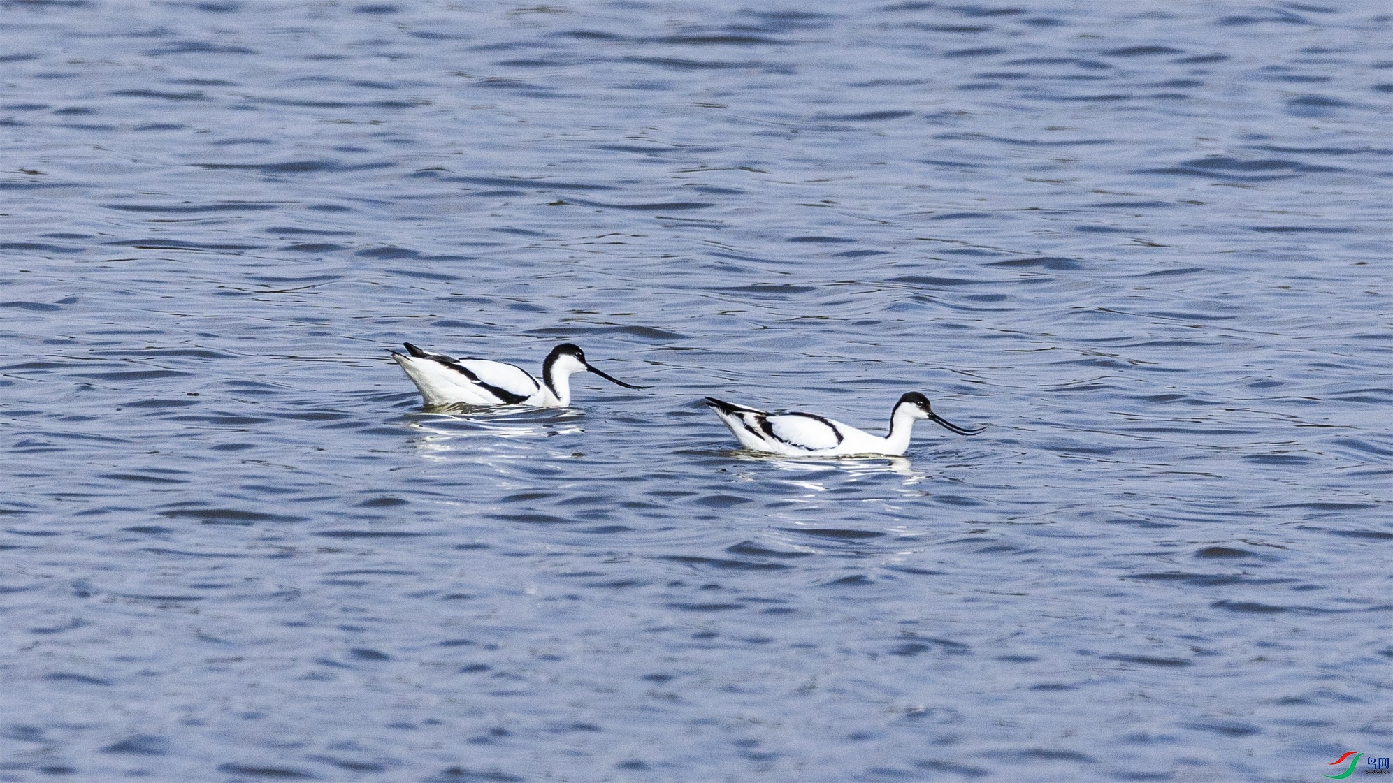 1K3A8359 ����1.jpg