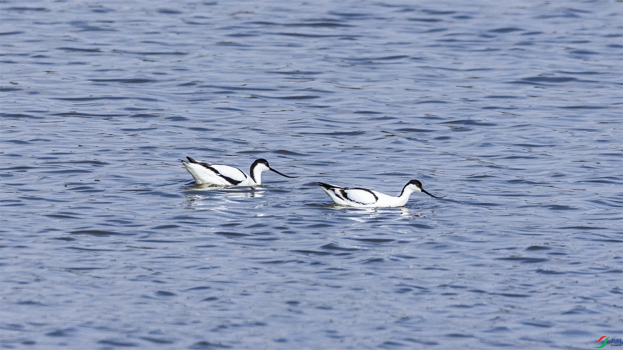 1K3A8358 ����1.jpg