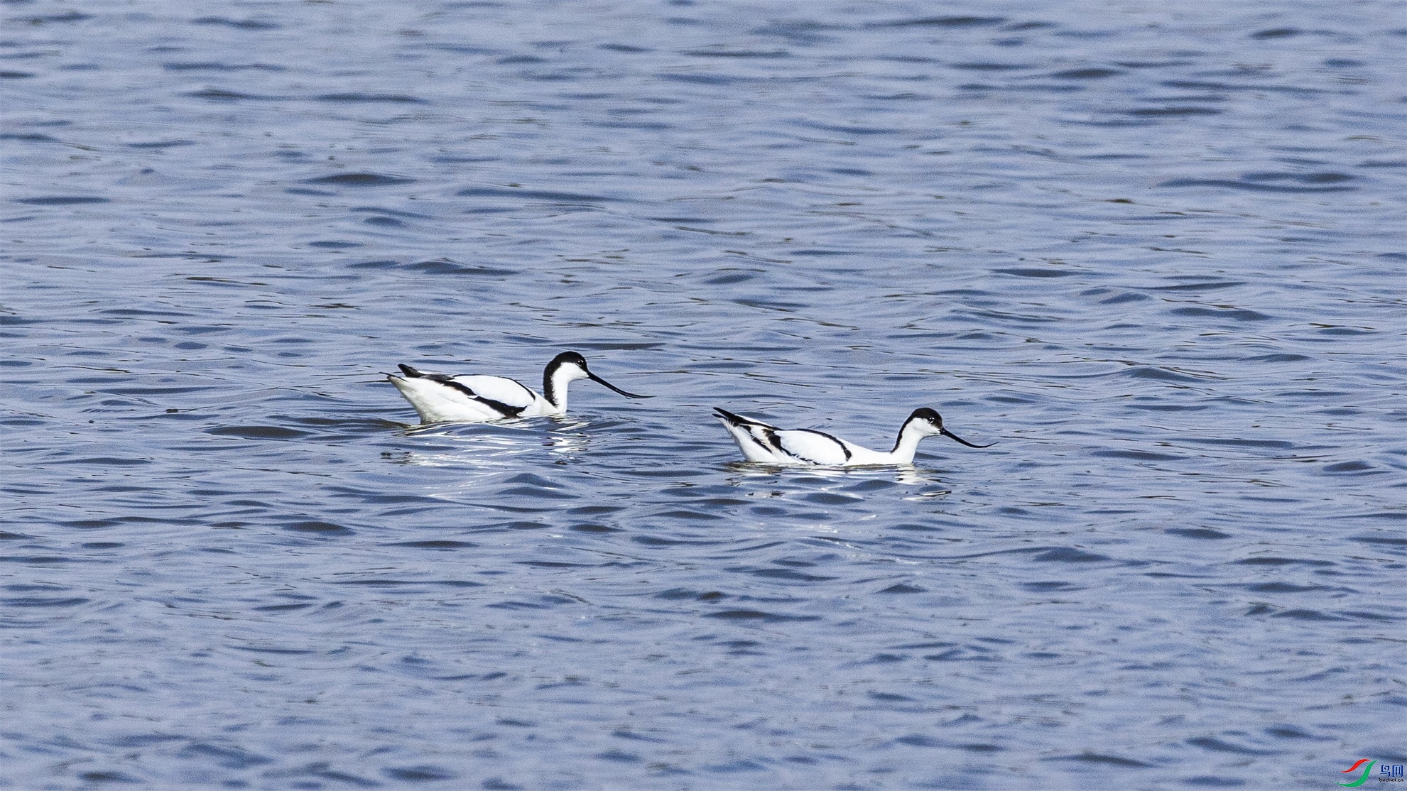 1K3A8362 ����1.jpg