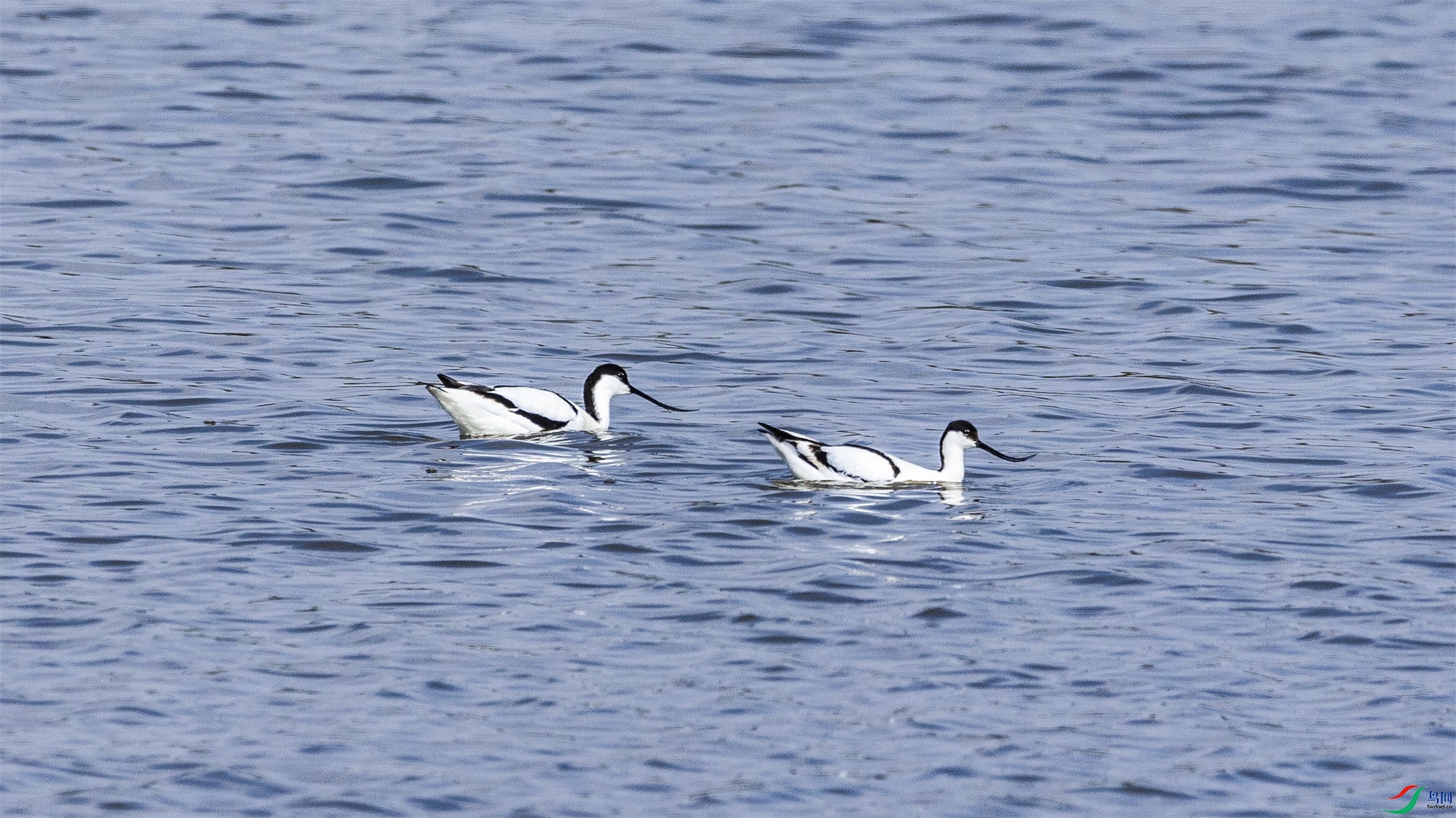 1K3A8361 ����1.jpg