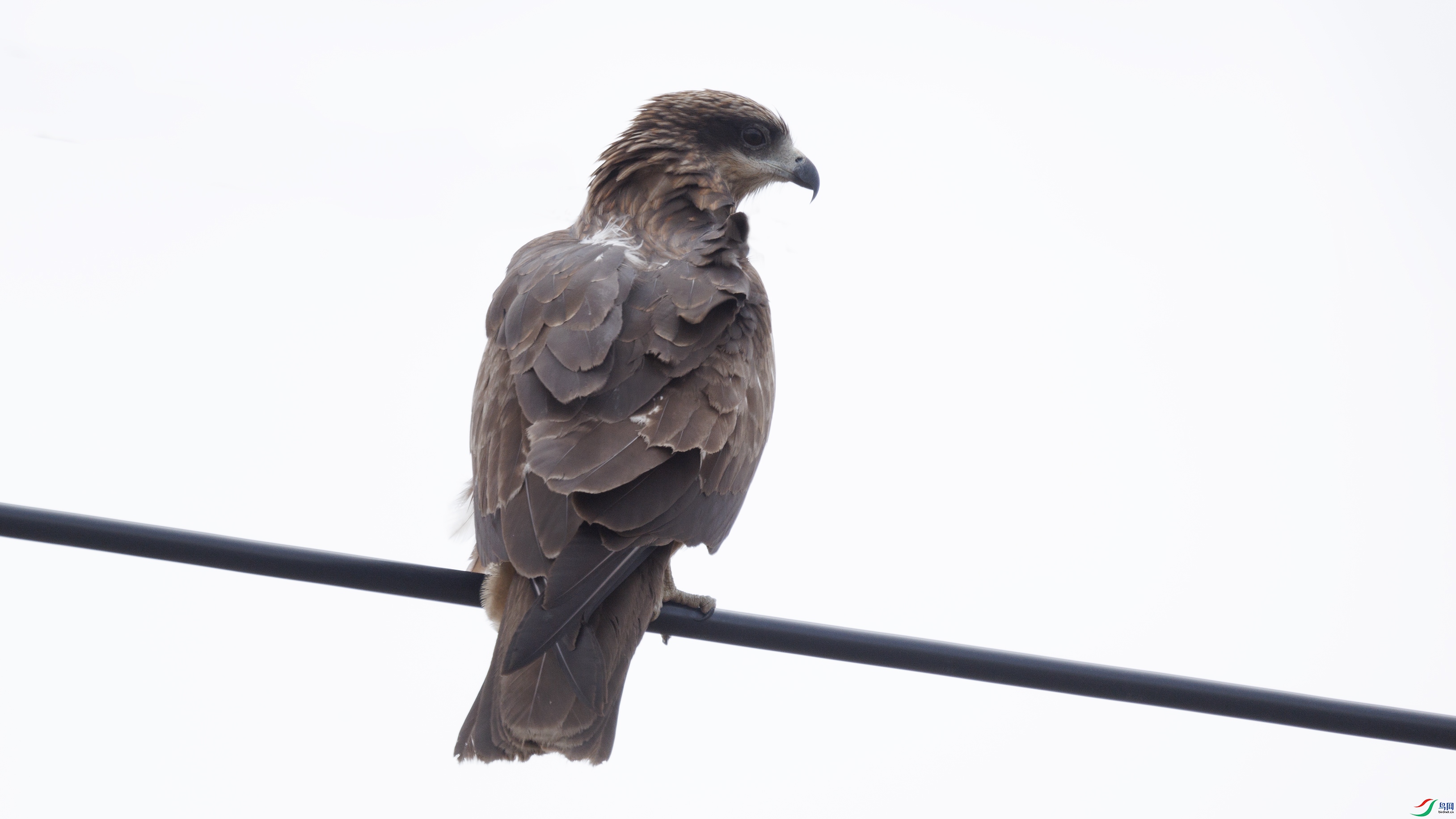 7X5A0053 ����333.jpg