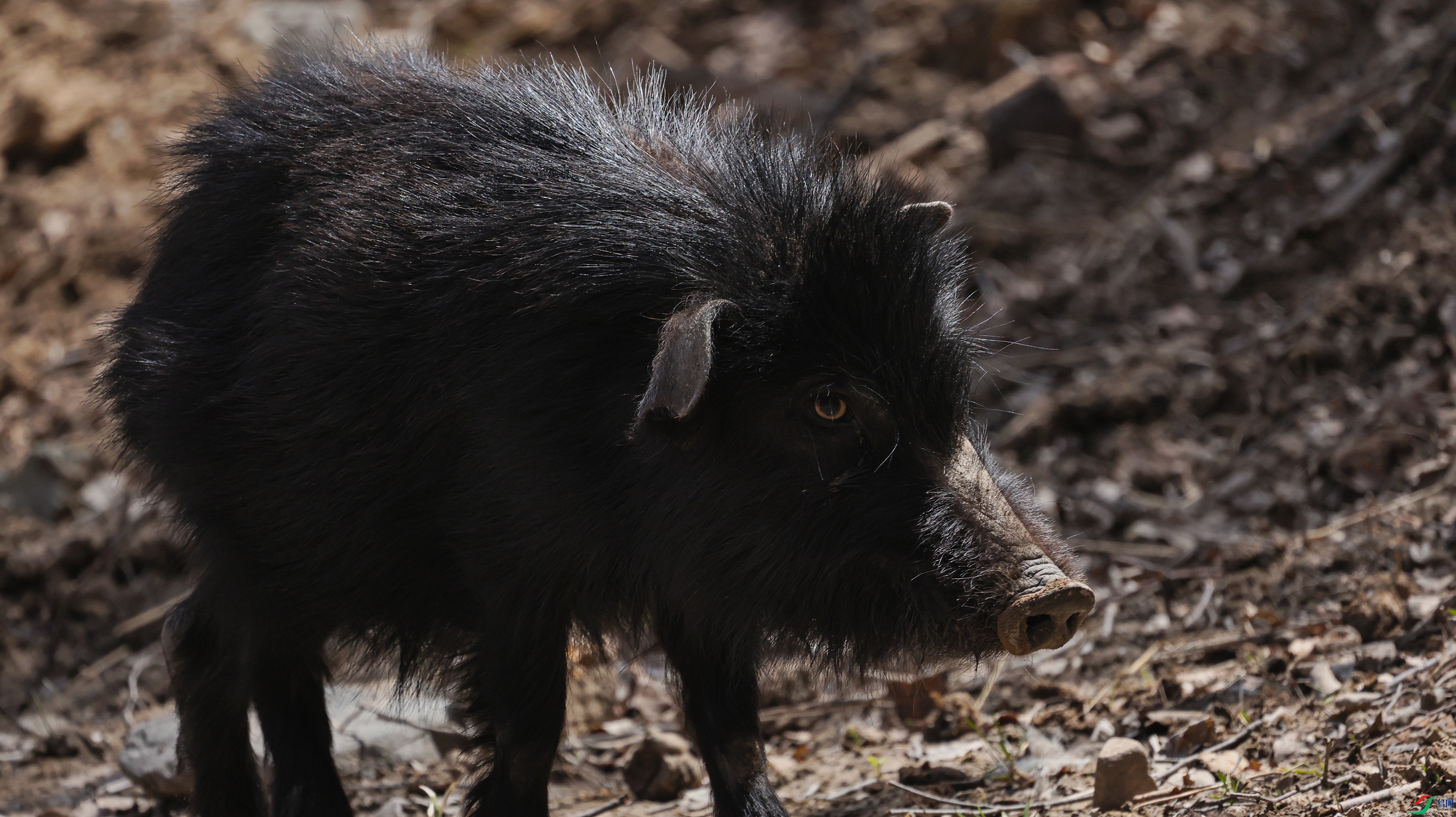 7X5A1764 ��44.jpg